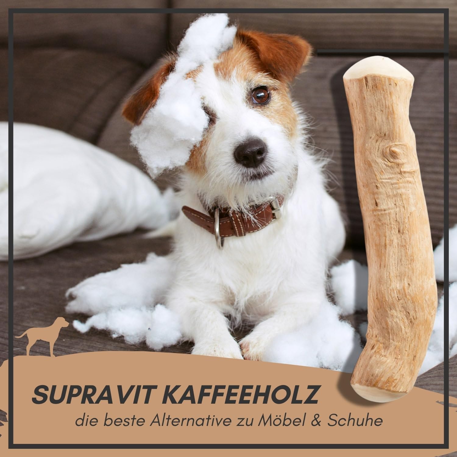 Supravit Natürlicher Kauknochen aus Kaffeeholz für Welpen XS | Mehr als EIN Holzstäbchen - spannendes Welpen Kauspielzeug & langanhaltende Beschäftigung | Kaustab Kauholz