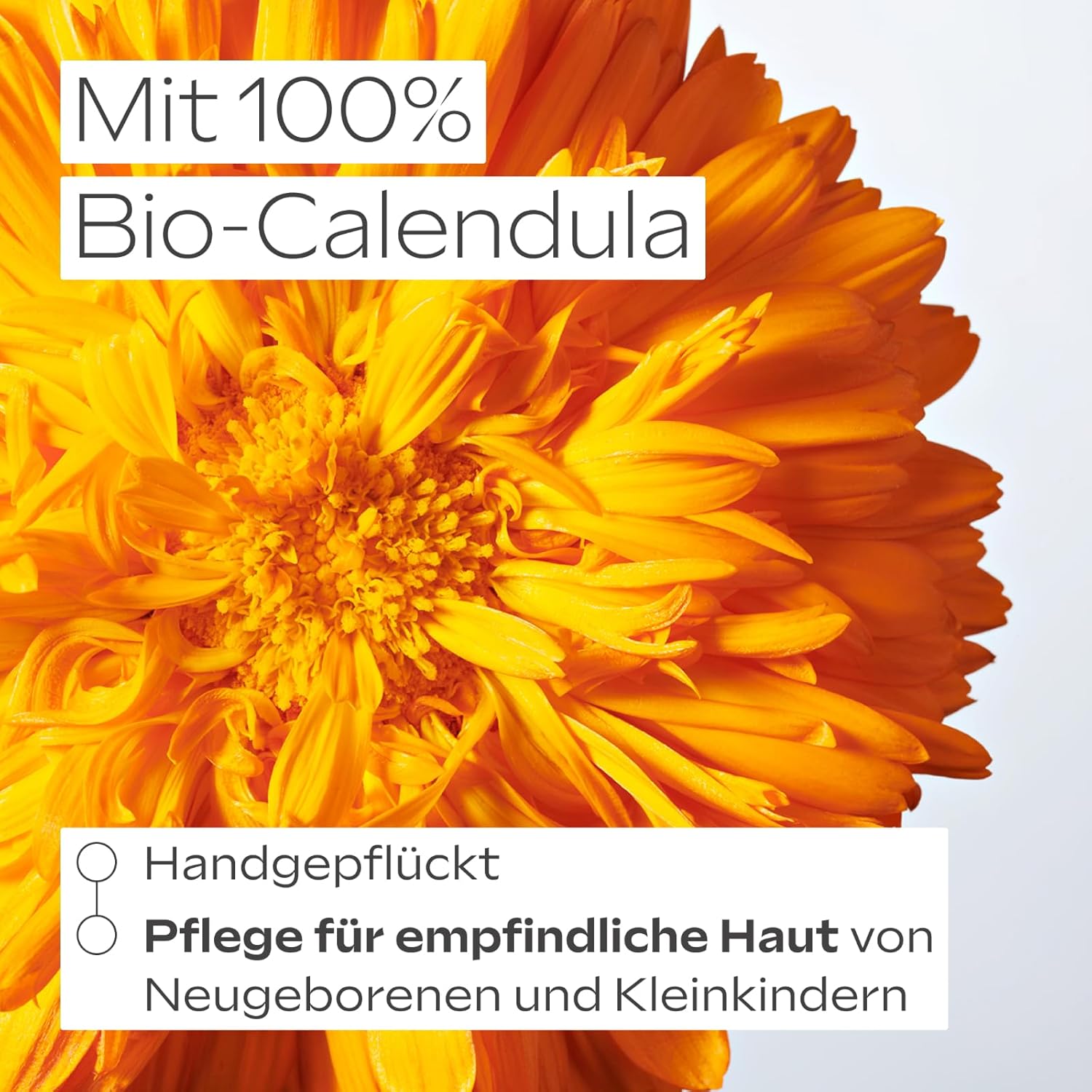 WELEDA Bio Baby Calendula Wundschutzcreme 75ml - Naturkosmetik Wundsalbe / Babycreme für den Schutz empfindlicher Baby Haut im Windelbereich. Hilft bei Rötungen, gereizter Haut und Wundsein