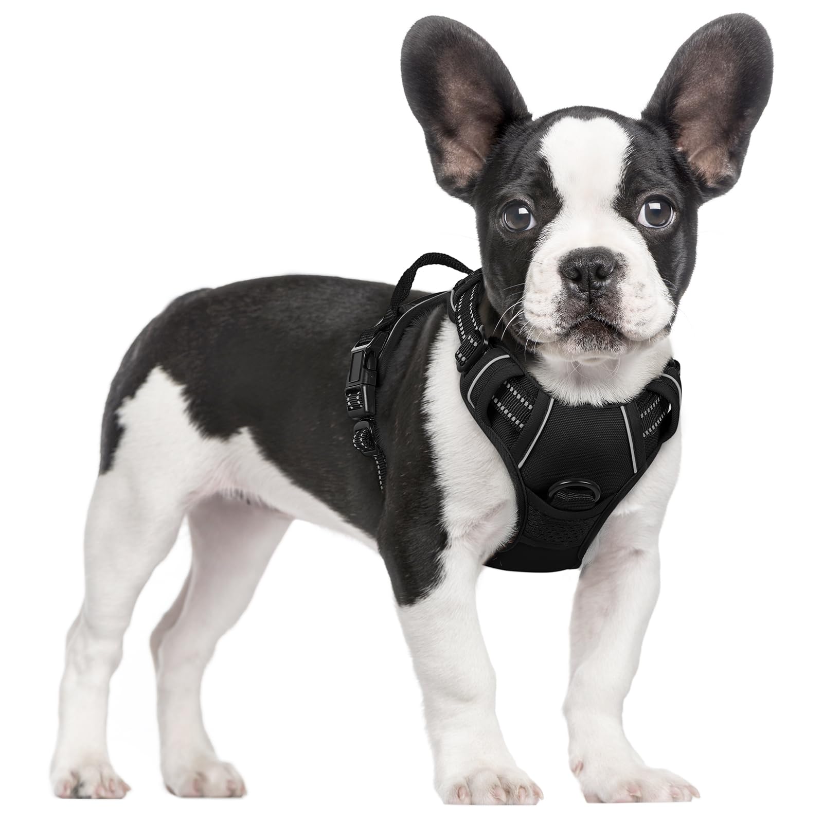 rabbitgoo Hundegeschirr Grosse Hunde, Anti Zug Geschirr mit Kontrolle, No Pull Verstellbar Hundegeschirr Mittelgroße Hunde, Atmungsaktiv Reflexstreifen Brustgeschirr Sichere Führung, Schwarz, L