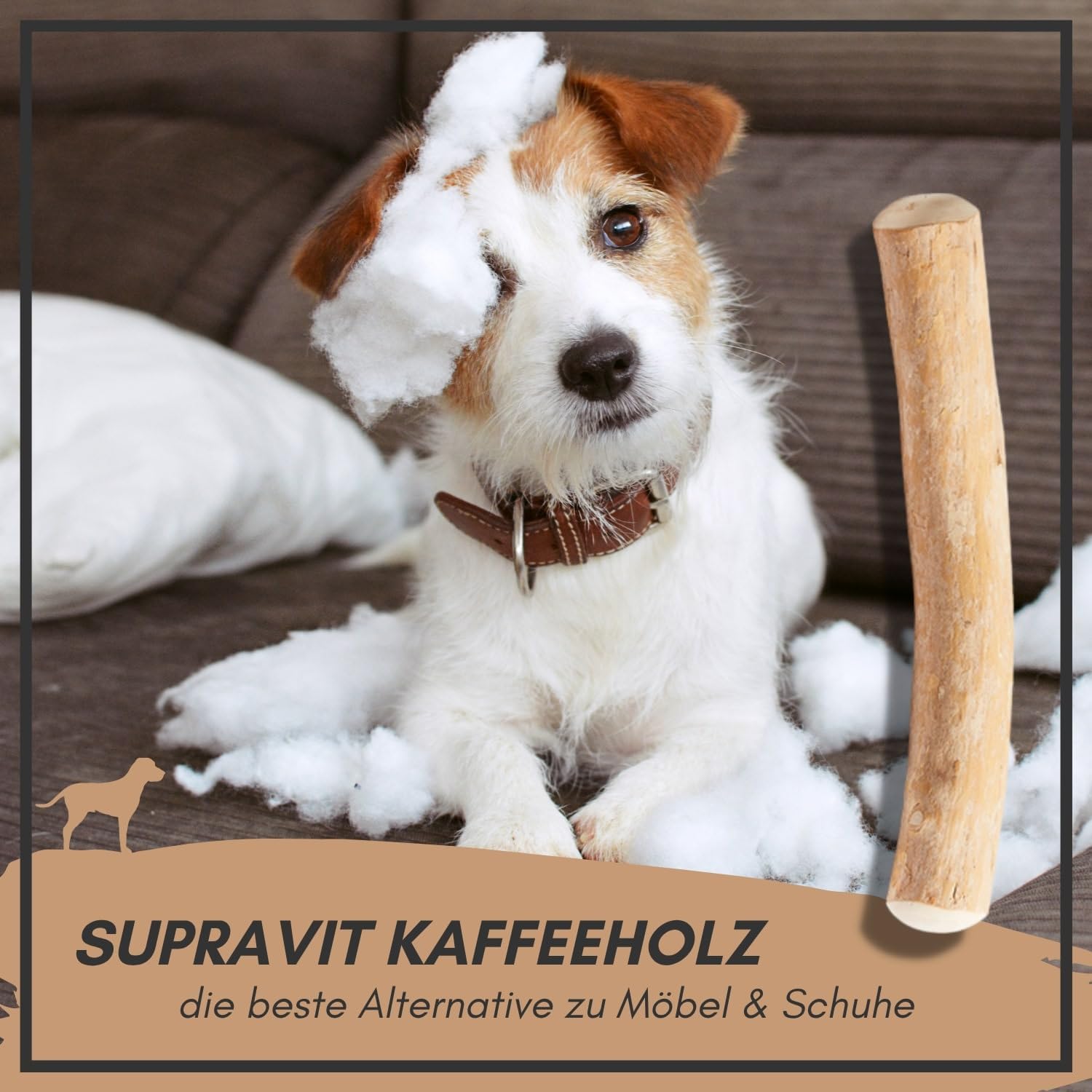 Supravit Natürlicher Kauknochen aus Kaffeeholz für Welpen XS | Mehr als EIN Holzstäbchen - spannendes Welpen Kauspielzeug & langanhaltende Beschäftigung | Kaustab Kauholz