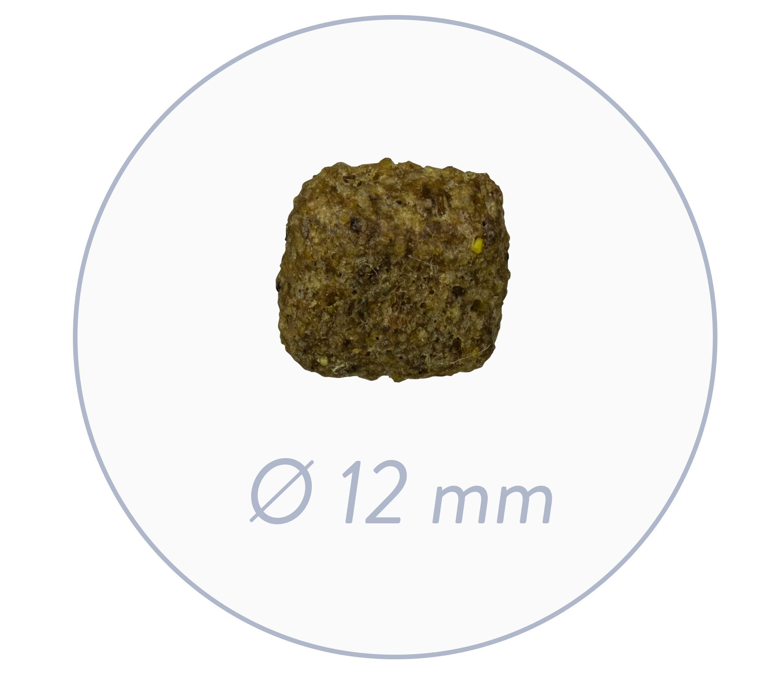 bosch Hundefutter Senior, 1er Pack (1 x 12.5 kg)
