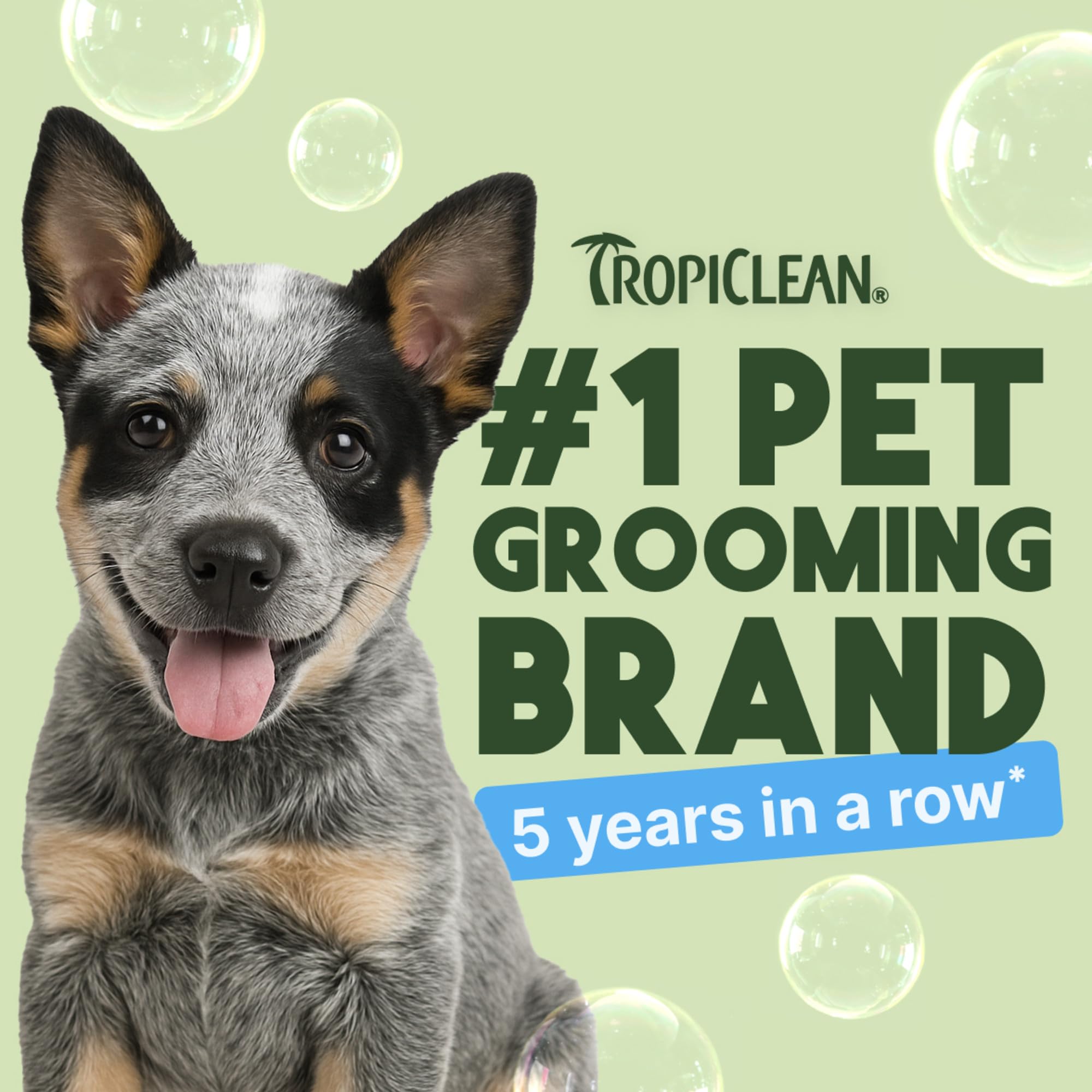TropiClean Shampoo für Tiere - Med. Juckreizlinderung - Peelt, Befeuchtet & beruhigt trockene, juckende Haut & Fell I Für Hunde & Katzen I Parabens-, Farb- und Seifenfrei - Hafermehl & Teebaum, 3,78 L