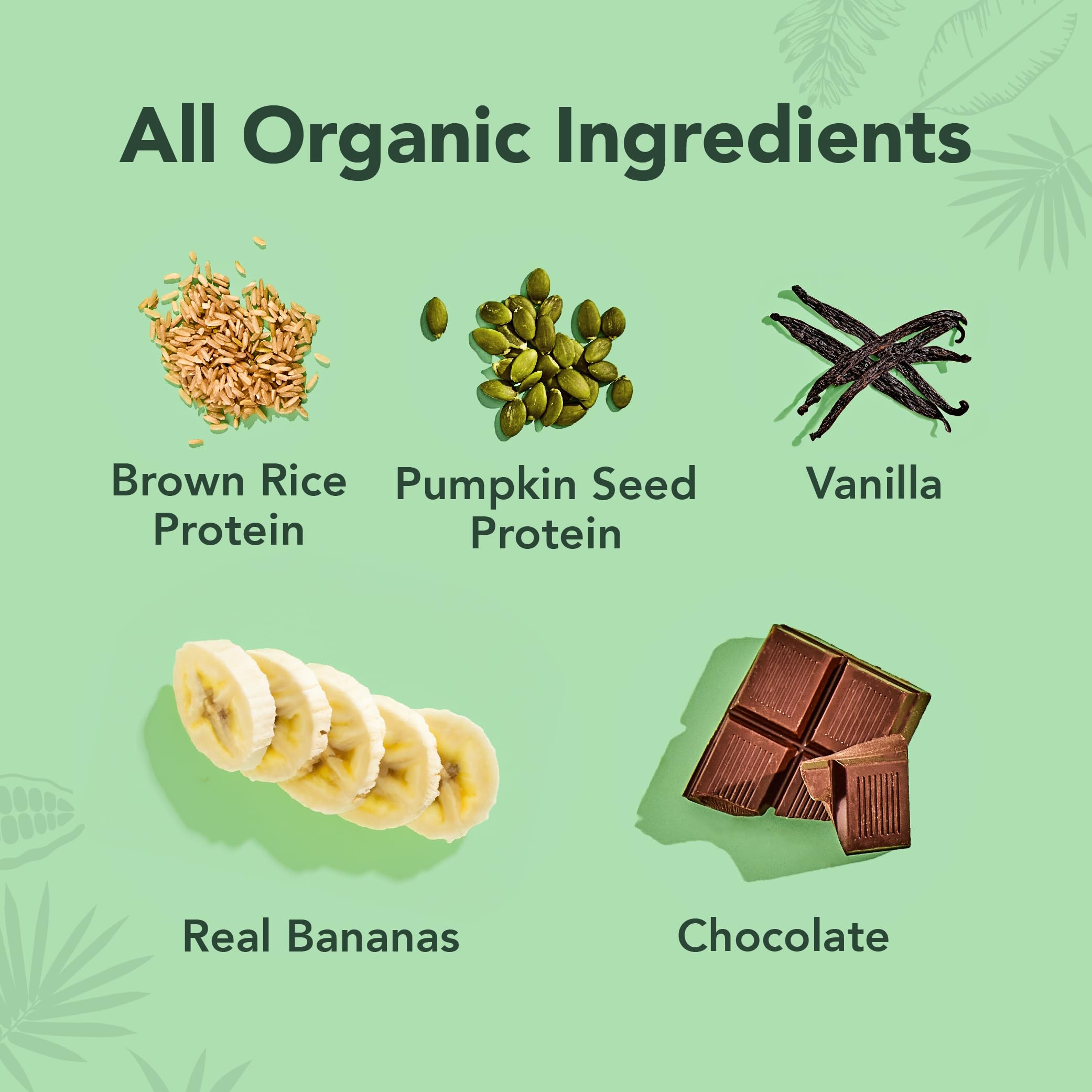 ALOHA Organic Plant Based Protein Bars |Peanut Butter Chocolate Chip | 1.98 Oz (Pack of 12) | Vegan, Low Sugar, Gluten Free, Paleo, Low Carb, Non-GMO, Stevia Free, Soy Free, No Sugar Alcohols