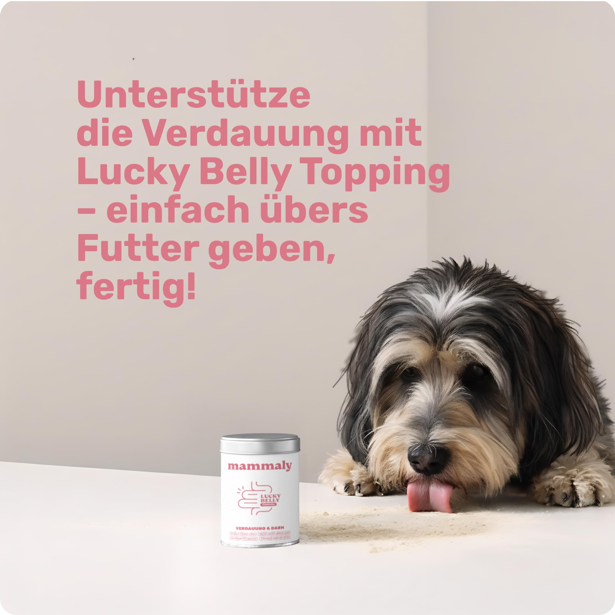 9-in-1 Probiotika für Deinen Hund - Lucky Belly Hypoallergen Allergie Fit ohne Huhn 120 Drops (350g) von mammaly-Bei Magenprobleme & Verdauungsprobleme für Magen-Darm,Verdauungssnacks bei Gras fressen