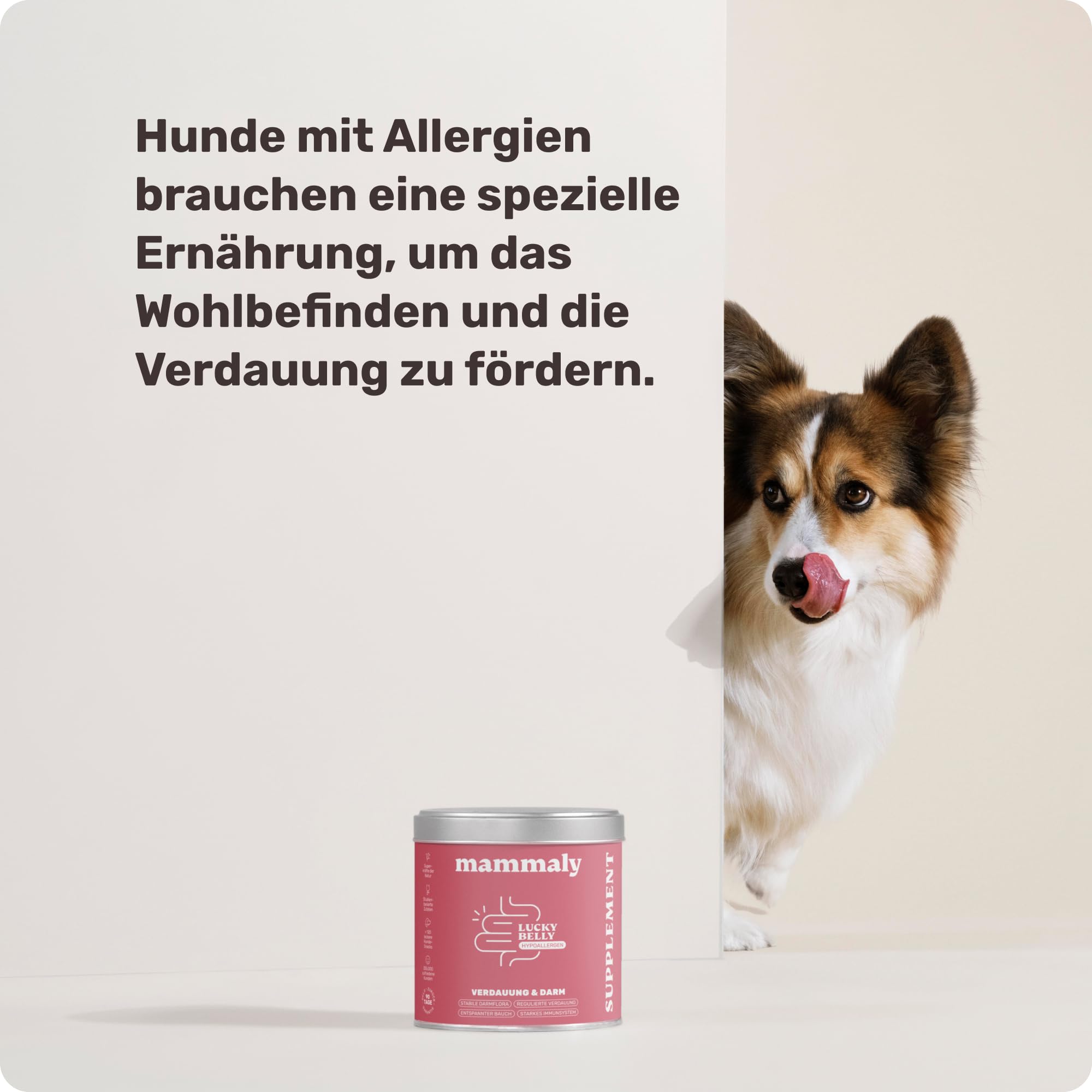 9-in-1 Probiotika für Deinen Hund - Lucky Belly Hypoallergen Allergie Fit ohne Huhn 120 Drops (350g) von mammaly-Bei Magenprobleme & Verdauungsprobleme für Magen-Darm,Verdauungssnacks bei Gras fressen