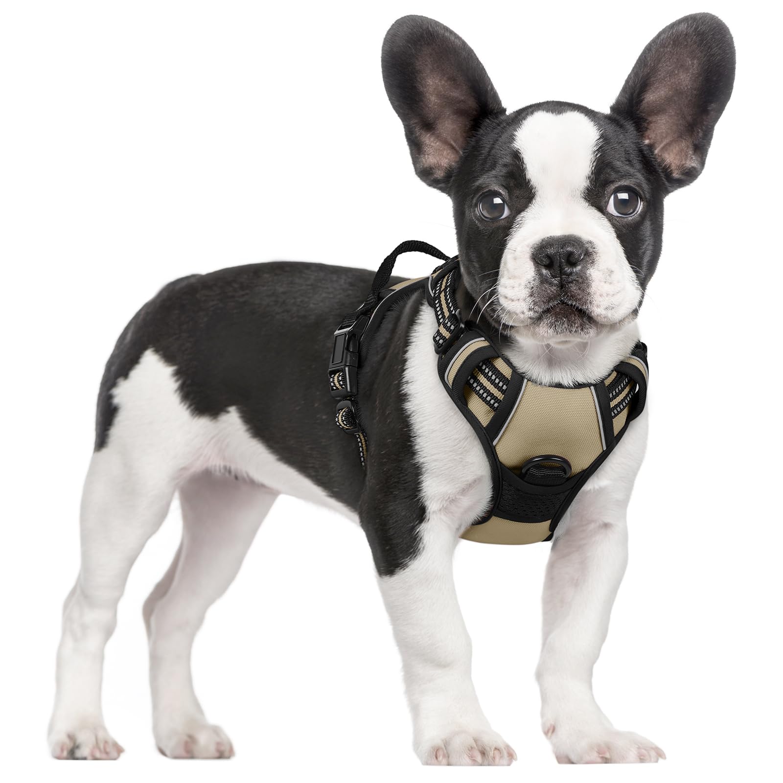 rabbitgoo Hundegeschirr Grosse Hunde, Anti Zug Geschirr mit Kontrolle, No Pull Verstellbar Hundegeschirr Mittelgroße Hunde, Atmungsaktiv Reflexstreifen Brustgeschirr Sichere Führung, Schwarz, L