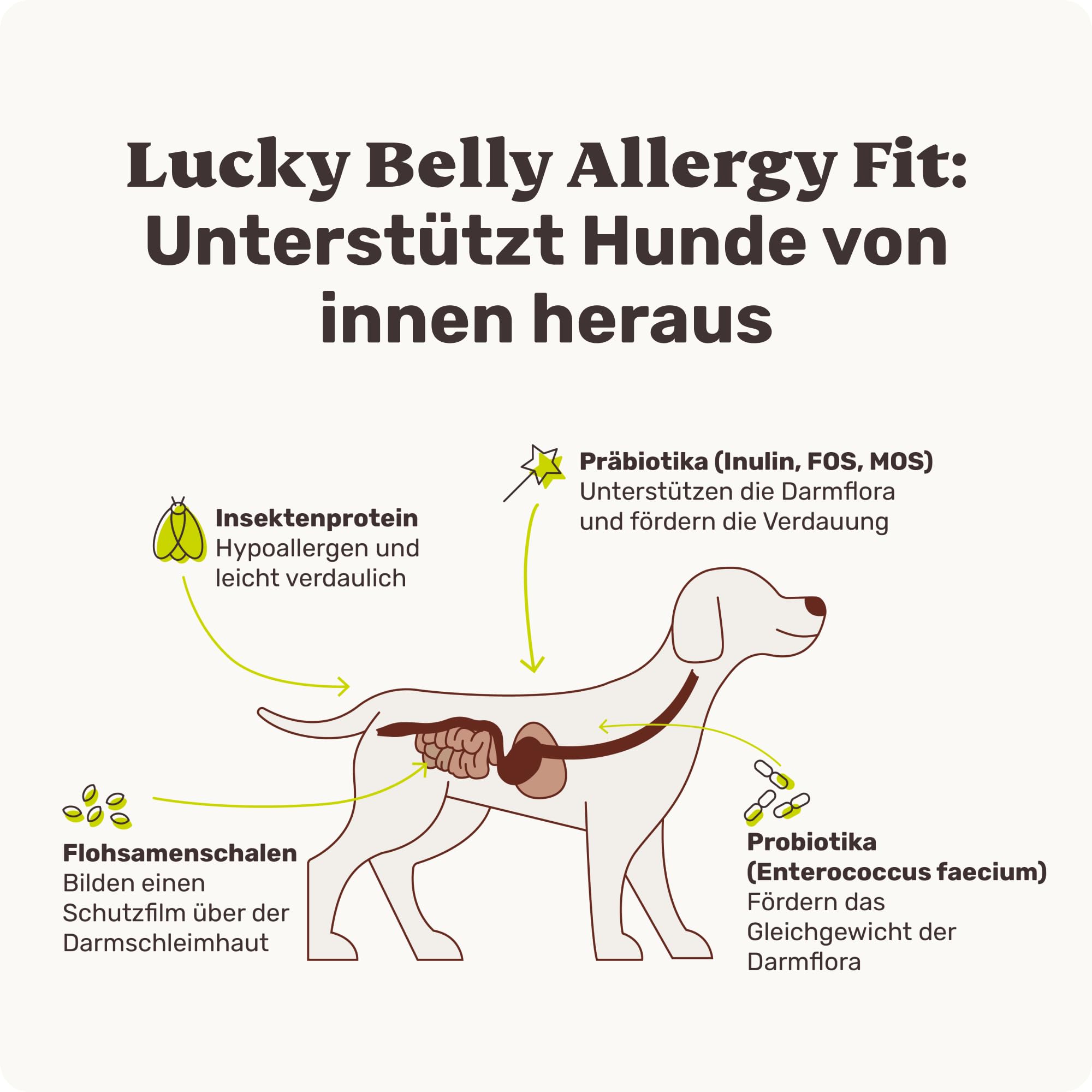 9-in-1 Probiotika für Deinen Hund - Lucky Belly Hypoallergen Allergie Fit ohne Huhn 120 Drops (350g) von mammaly-Bei Magenprobleme & Verdauungsprobleme für Magen-Darm,Verdauungssnacks bei Gras fressen