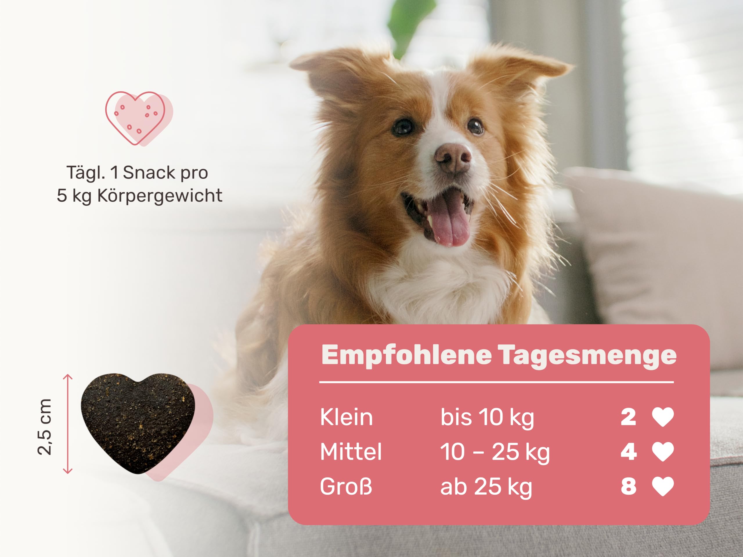 9-in-1 Probiotika für Deinen Hund - Lucky Belly Hypoallergen Allergie Fit ohne Huhn 120 Drops (350g) von mammaly-Bei Magenprobleme & Verdauungsprobleme für Magen-Darm,Verdauungssnacks bei Gras fressen