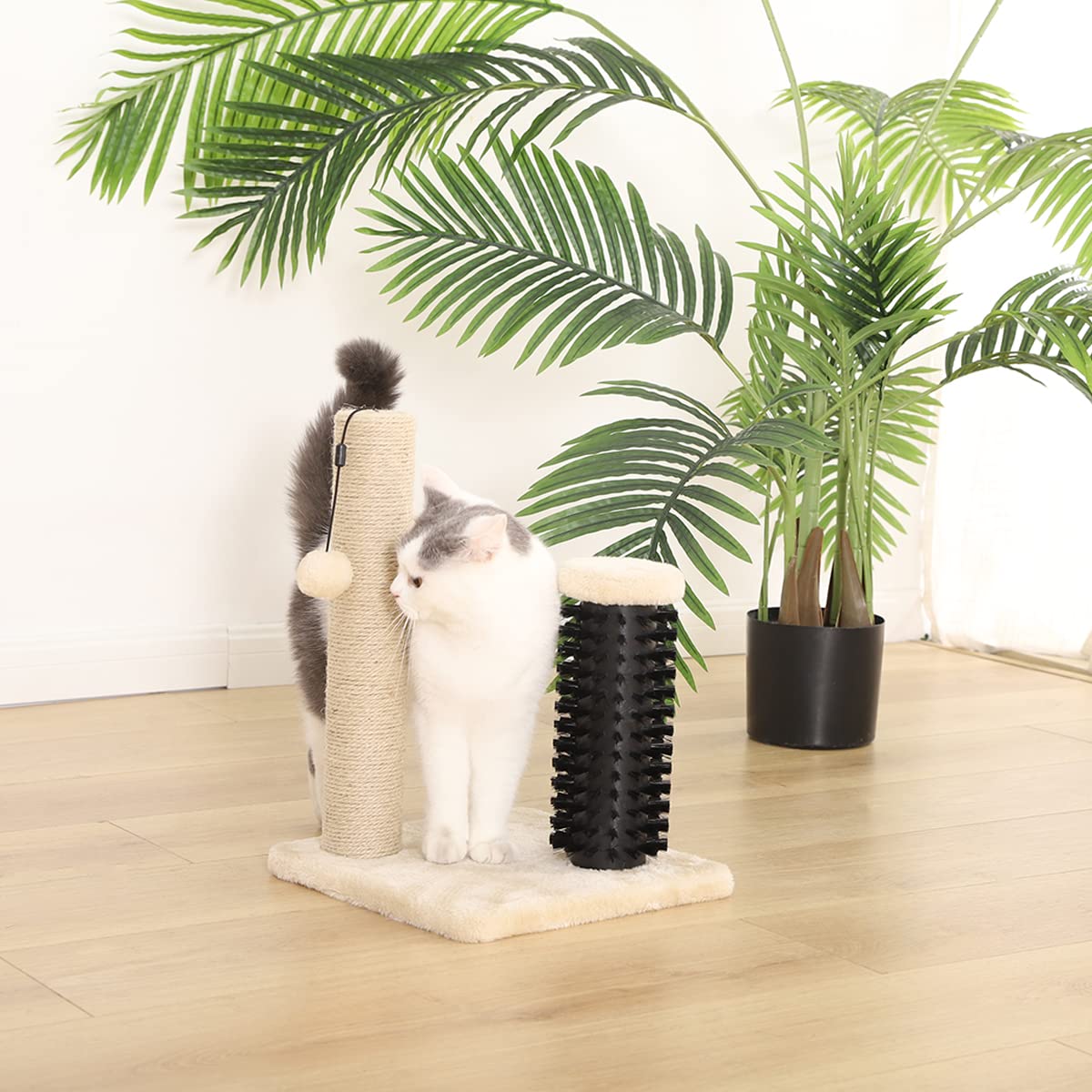 Amazon Basics Mittelgroßer Katzen-Kratzbaum, 40.01 x 40.01 x 80.01 cm, Grau