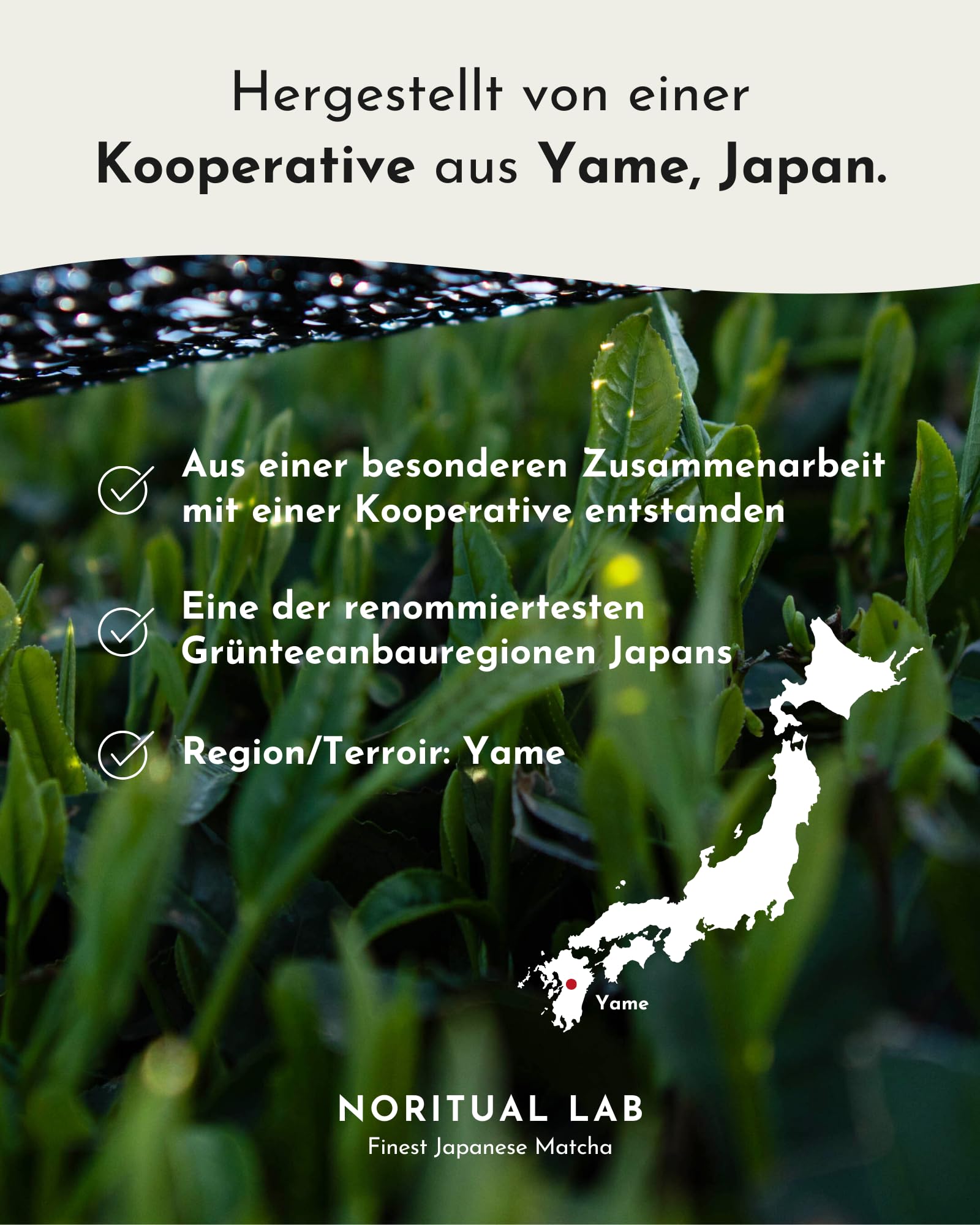 Ceremonial Matcha - Reines Matcha Pulver aus Japan - Ceremonial Grade - Original Matcha Grüntee - Erste Ernte - 100% Natürlich und Laborgeprüft