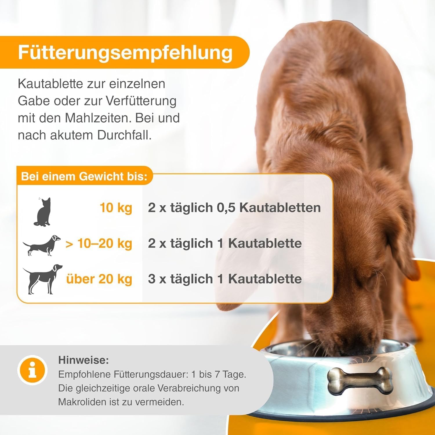 alfavet Dia Tab 20 x 5,5 g – Diät-Ergänzungsfuttermittel für Hunde & Katzen – Mit pflanzlichen Inhaltsstoffen zur Regulierung der Verdauung & Darmflora – Kautabletten mit Präbiotika