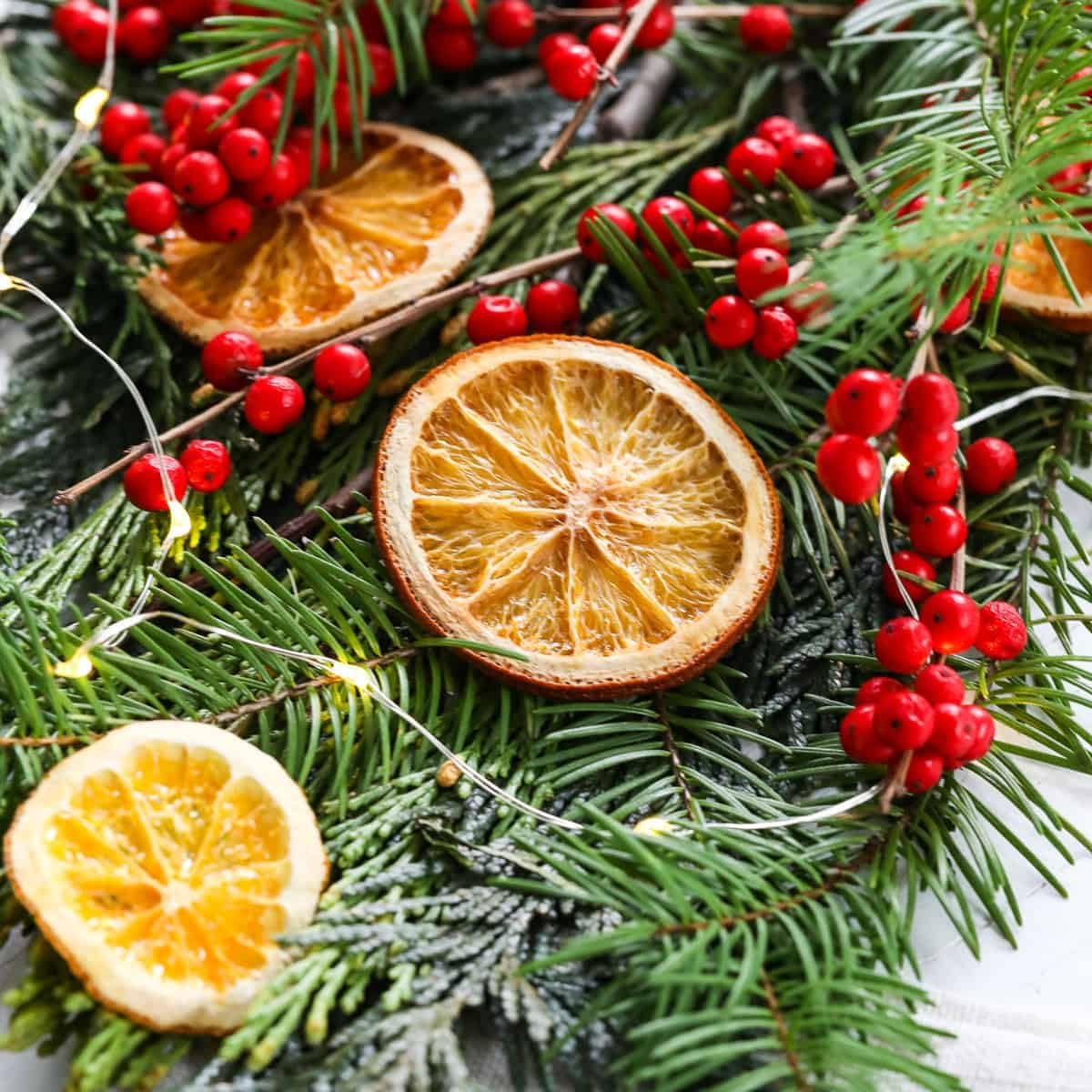 Dehydrated Dried Orange Slices | Orange Wheels | Approx. 45+ Servings | 100% Natural, No Added Sugars | For Cocktails, Wreath Making, Tea, Cakes, Decoration | Oranges For Cocktails | 3.5 OZ | 100 Grams