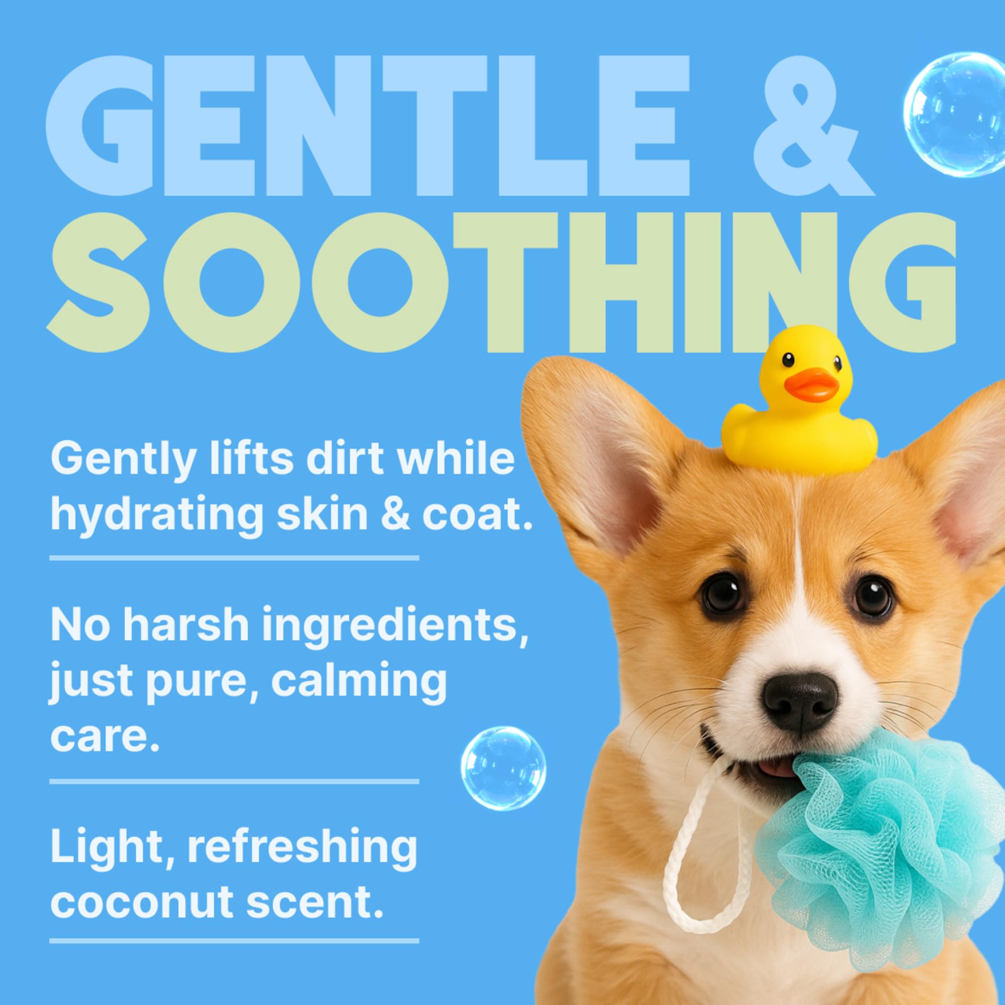 TropiClean Shampoo für Tiere - Med. Juckreizlinderung - Peelt, Befeuchtet & beruhigt trockene, juckende Haut & Fell I Für Hunde & Katzen I Parabens-, Farb- und Seifenfrei - Hafermehl & Teebaum, 3,78 L
