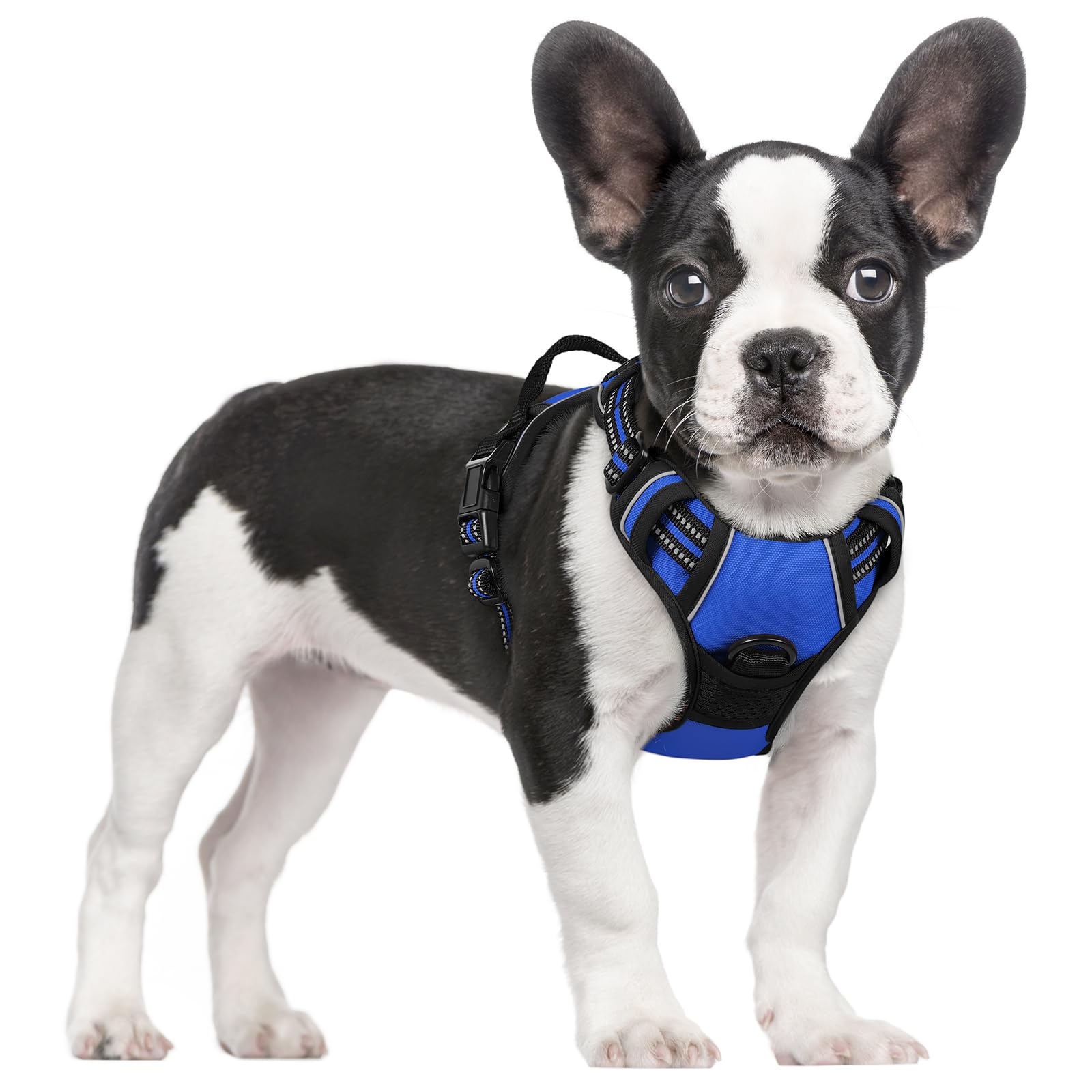 rabbitgoo Hundegeschirr Grosse Hunde, Anti Zug Geschirr mit Kontrolle, No Pull Verstellbar Hundegeschirr Mittelgroße Hunde, Atmungsaktiv Reflexstreifen Brustgeschirr Sichere Führung, Schwarz, L