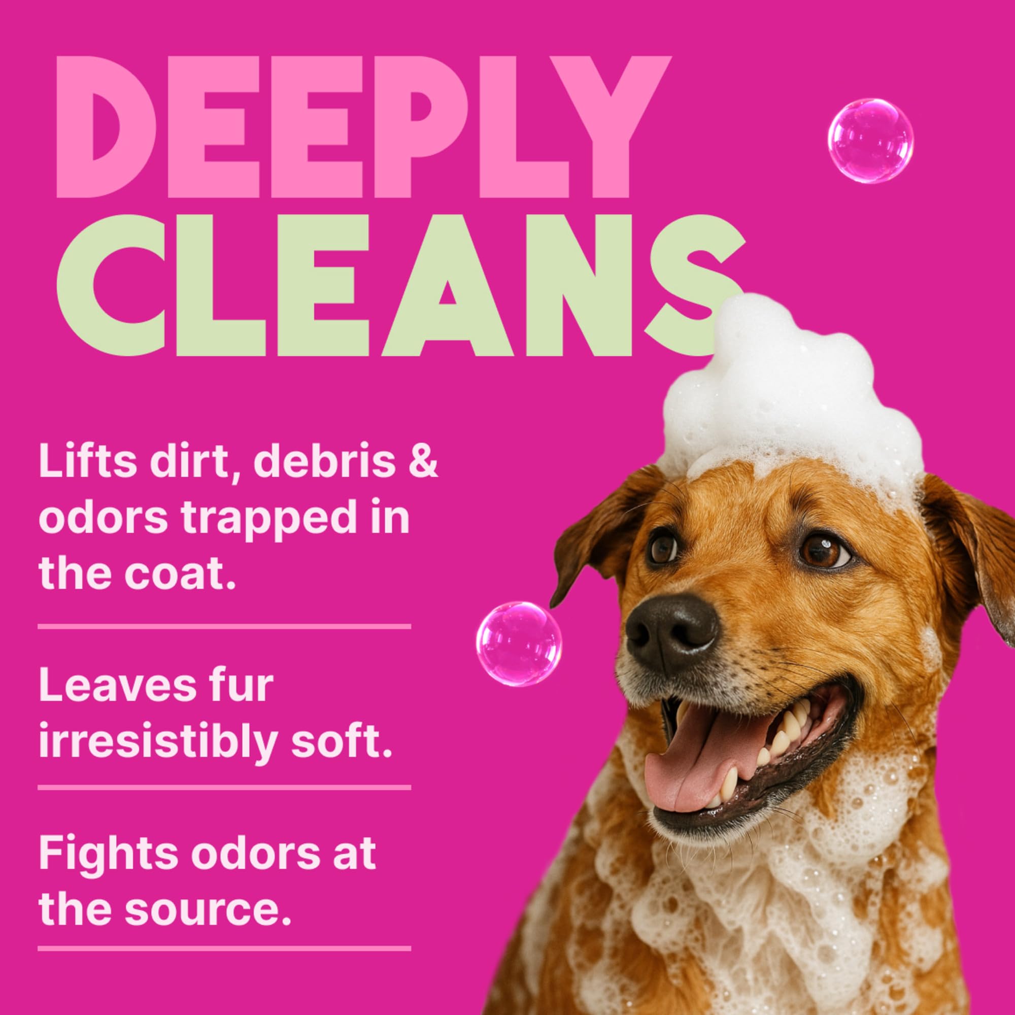 TropiClean Shampoo für Tiere - Med. Juckreizlinderung - Peelt, Befeuchtet & beruhigt trockene, juckende Haut & Fell I Für Hunde & Katzen I Parabens-, Farb- und Seifenfrei - Hafermehl & Teebaum, 3,78 L