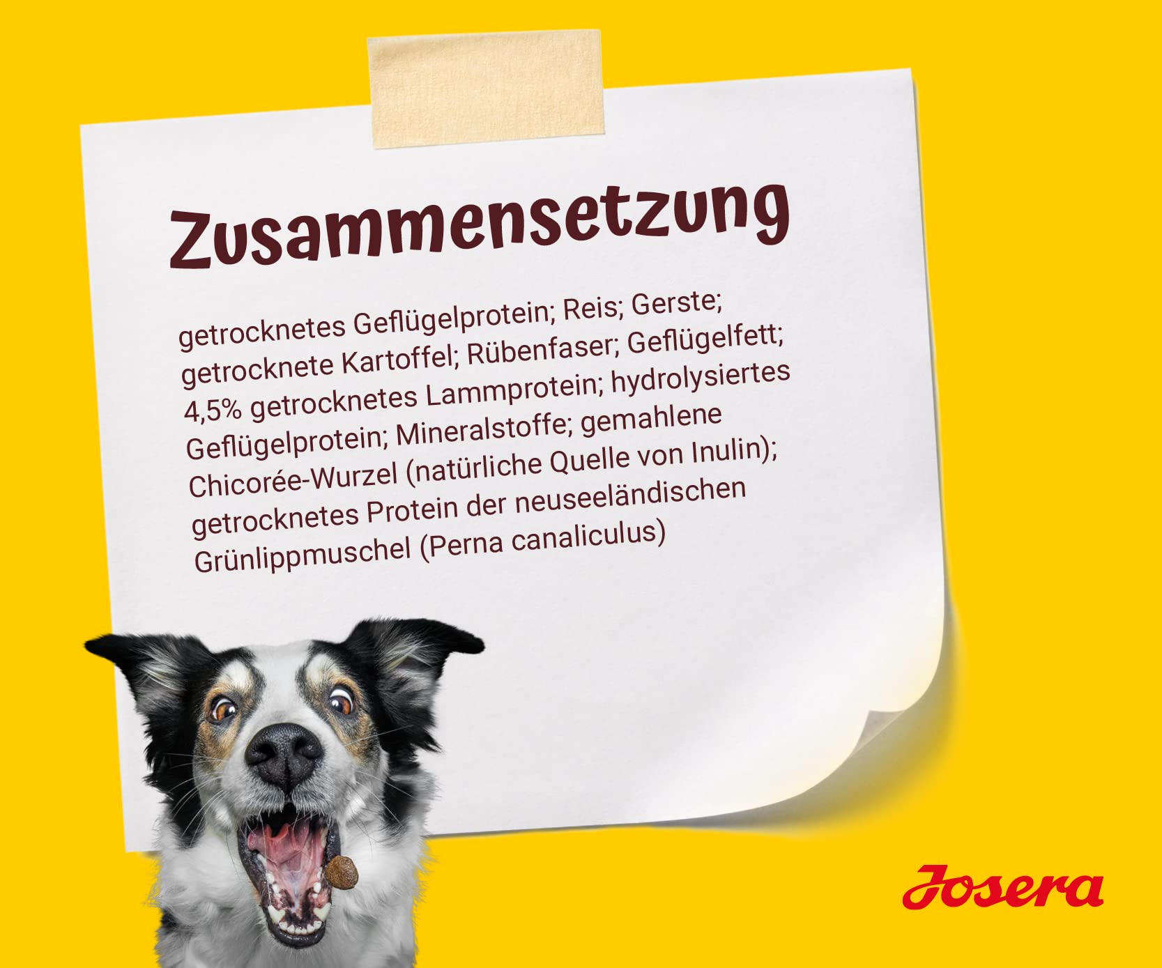 JOSERA Adult Large Optiness Lamm & Reis (1 x 12,5 kg) | Premium Trockenfutter für ausgewachsene Hunde | eiweißreduziert | weizenfrei | wertvolle Fettsäuren | XL-Kroketten gegen Schlingen