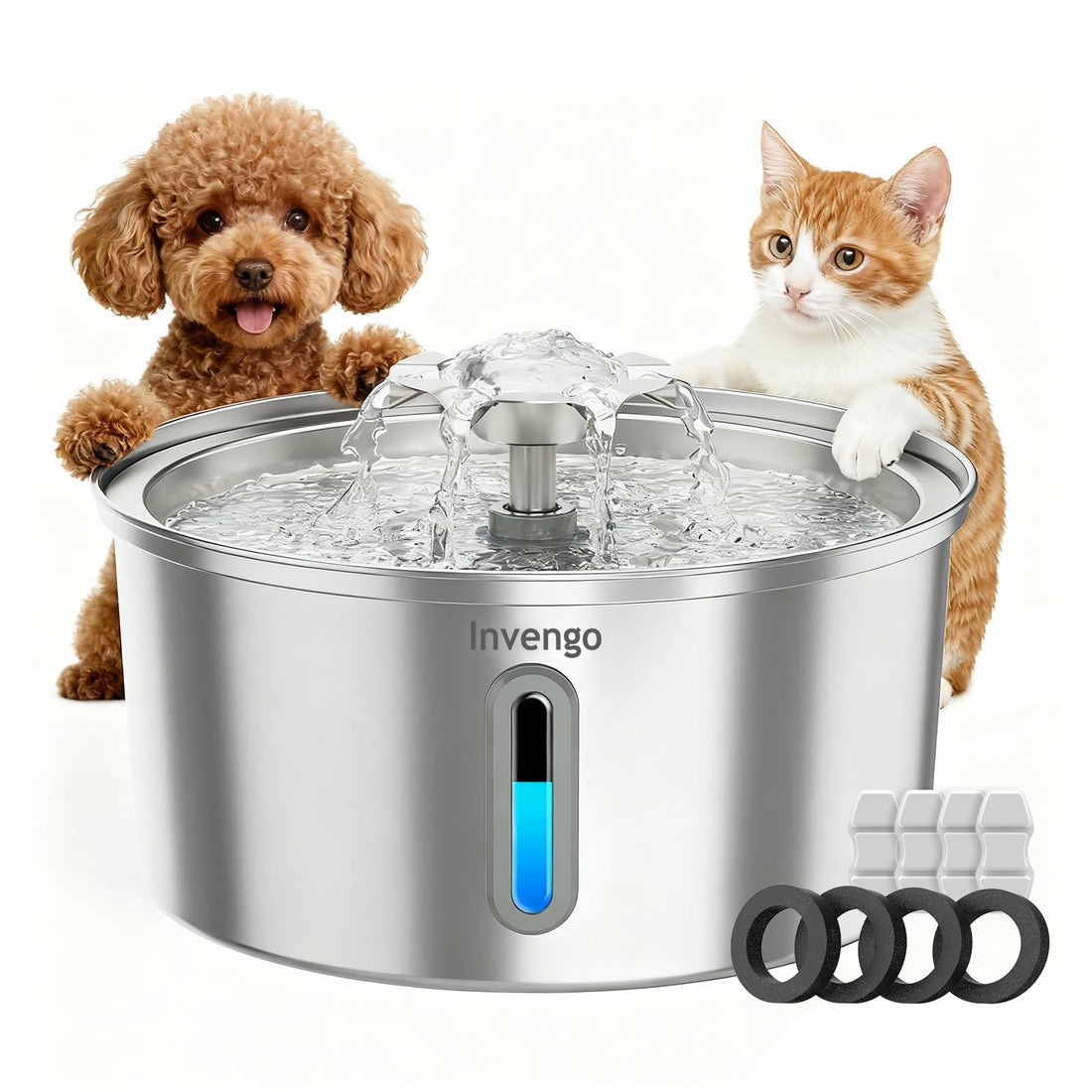 Invengo MeowFlow B30 Trinkbrunnen für Katzen, 2,2L Edelstahl-Haustierbrunnen mit sichtbarem Wasserfenster, einfach zu reinigen und installieren, inkl. 4 Ersatzfilter, spritzwassergeschütztes Design