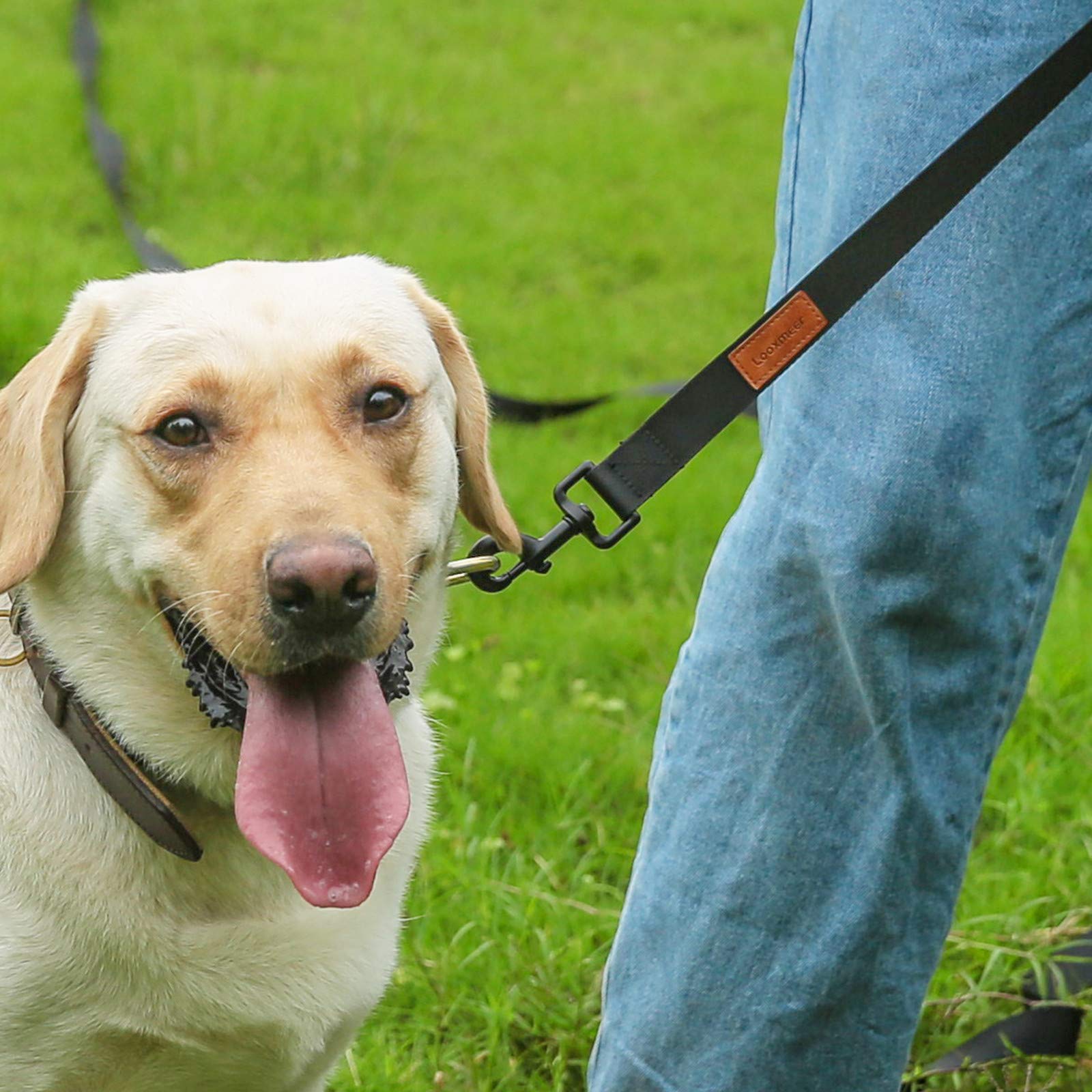 Schleppleine für Hunde, 3m 5m 7m 10m 15m 20m 25m 30m Schleppleine mit Robusterem Karabiner, Hundeleine für Große bis Kleine Hunde, Laufleine für Spaziergang, Übungsleine, Reißfeste Trainingsleine