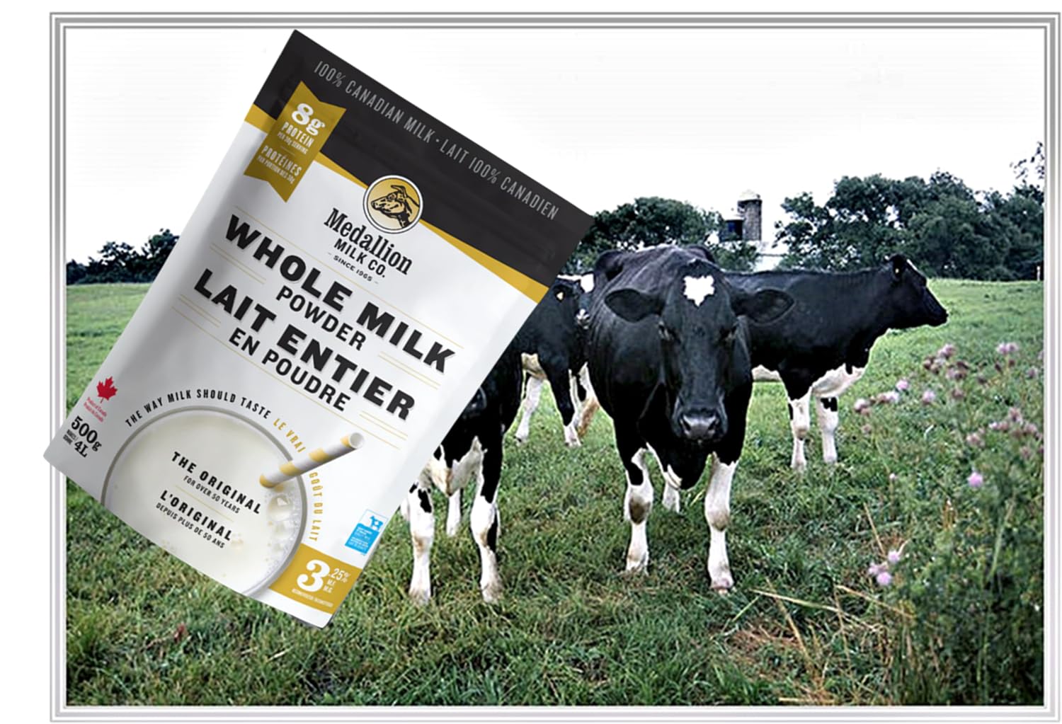 Medallion Brand Whole Milk Powder 500g - Dried Milk from Canada, Antibiotic-Free, No rbST or rBGH