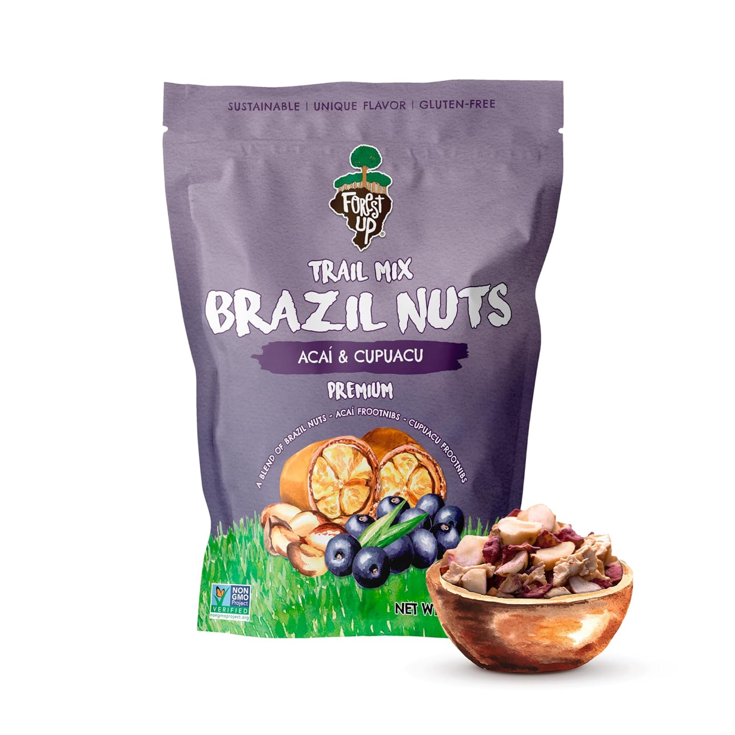 Snack The True Organic Brazil Nuts 15 oz – Raw and Unsalted – Kosher – Healthy – Rich in Vegetable Protein – Harvested in Amazon Rainforest – Fresh, Vegan, and Gluten Free – Forest Up