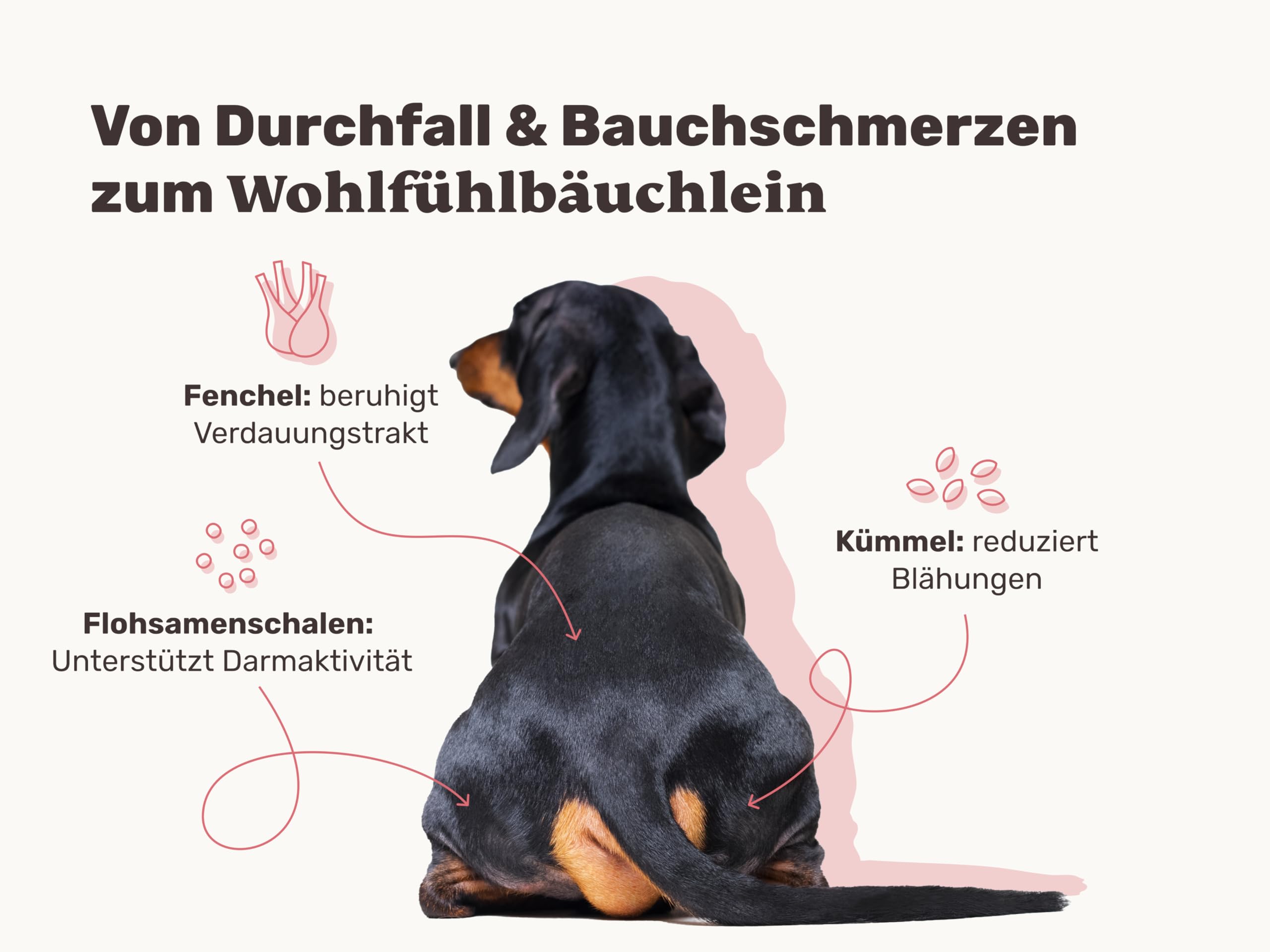9-in-1 Probiotika für Deinen Hund - Lucky Belly Hypoallergen Allergie Fit ohne Huhn 120 Drops (350g) von mammaly-Bei Magenprobleme & Verdauungsprobleme für Magen-Darm,Verdauungssnacks bei Gras fressen