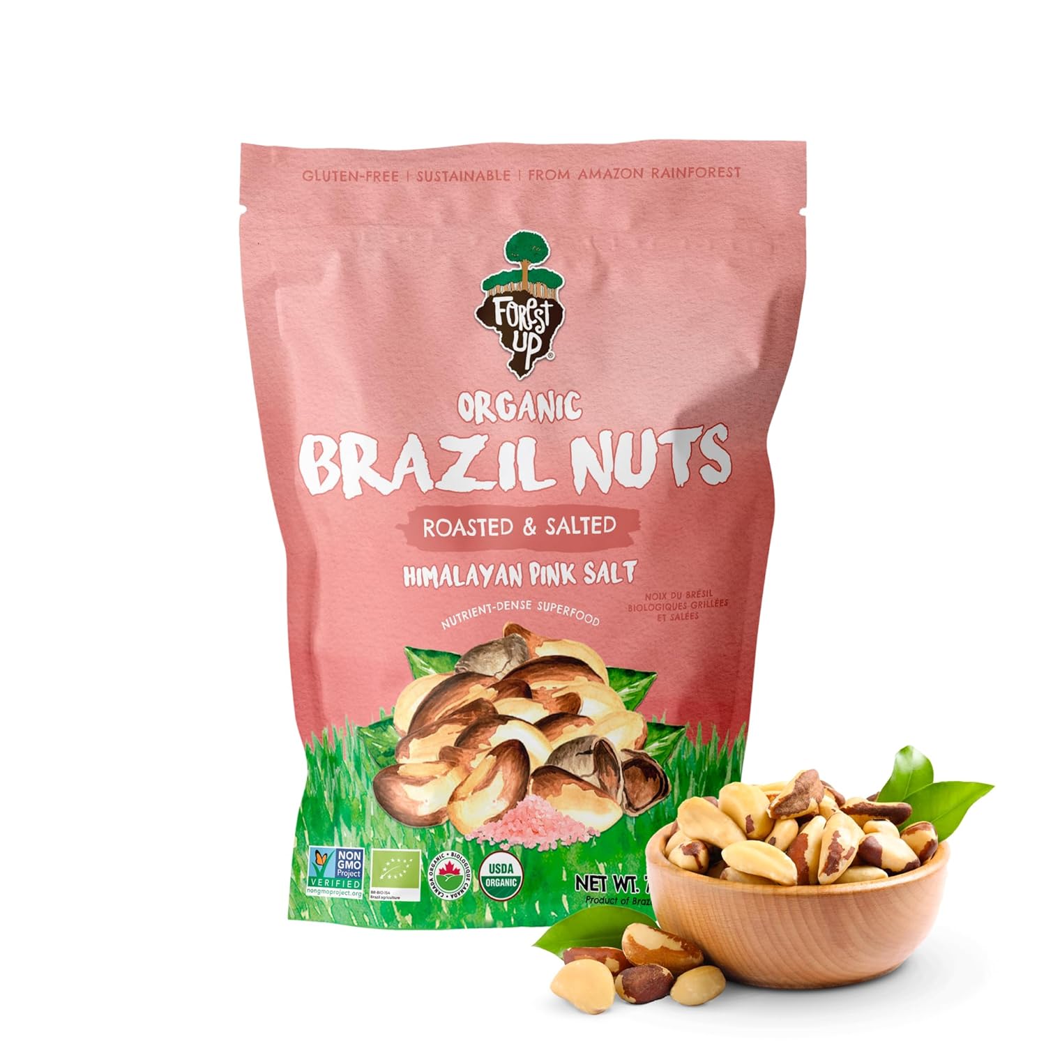 Snack The True Organic Brazil Nuts 15 oz – Raw and Unsalted – Kosher – Healthy – Rich in Vegetable Protein – Harvested in Amazon Rainforest – Fresh, Vegan, and Gluten Free – Forest Up