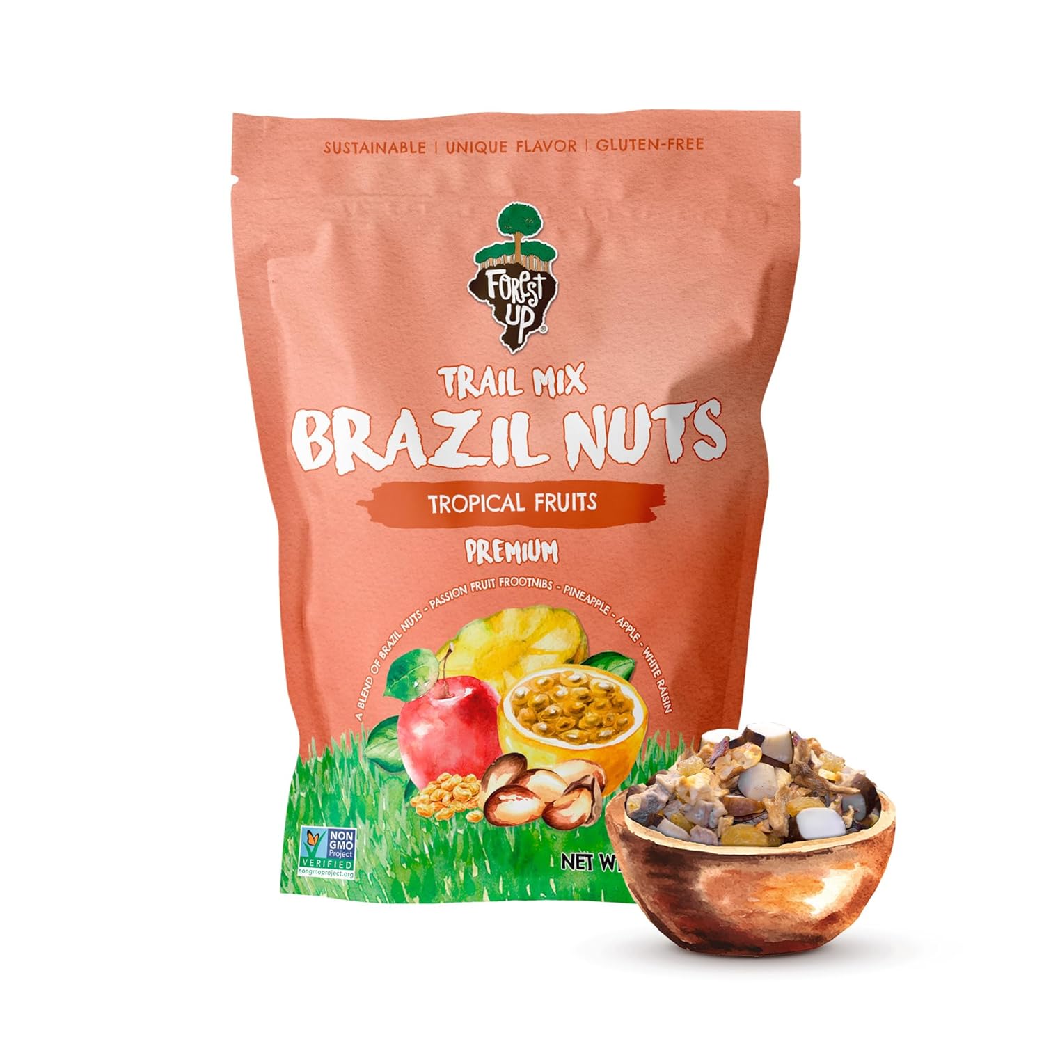 Snack The True Organic Brazil Nuts 15 oz – Raw and Unsalted – Kosher – Healthy – Rich in Vegetable Protein – Harvested in Amazon Rainforest – Fresh, Vegan, and Gluten Free – Forest Up