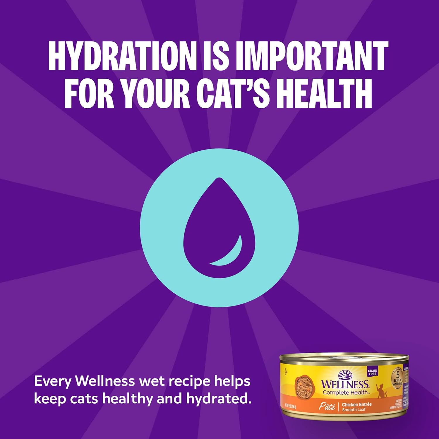 Wellness Complete Health Pate Adult Wet Cat Food, Natural, Protein-Rich, Grain-Free, 3 Ounce, 24 Pack, (Chicken & Turkey Variety Pack)