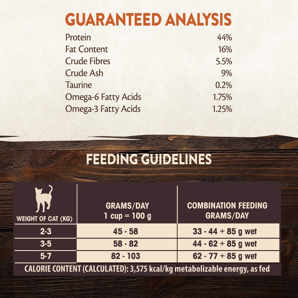 Wellness CORE Sterilised Ocean 4 kg, Lachs – Katzenfutter Trocken für sterilisierte Katzen, getreidefrei, natürlich, hypoallergen, proteinreich, unterstützt gesunde Haut und glänzendes Fell