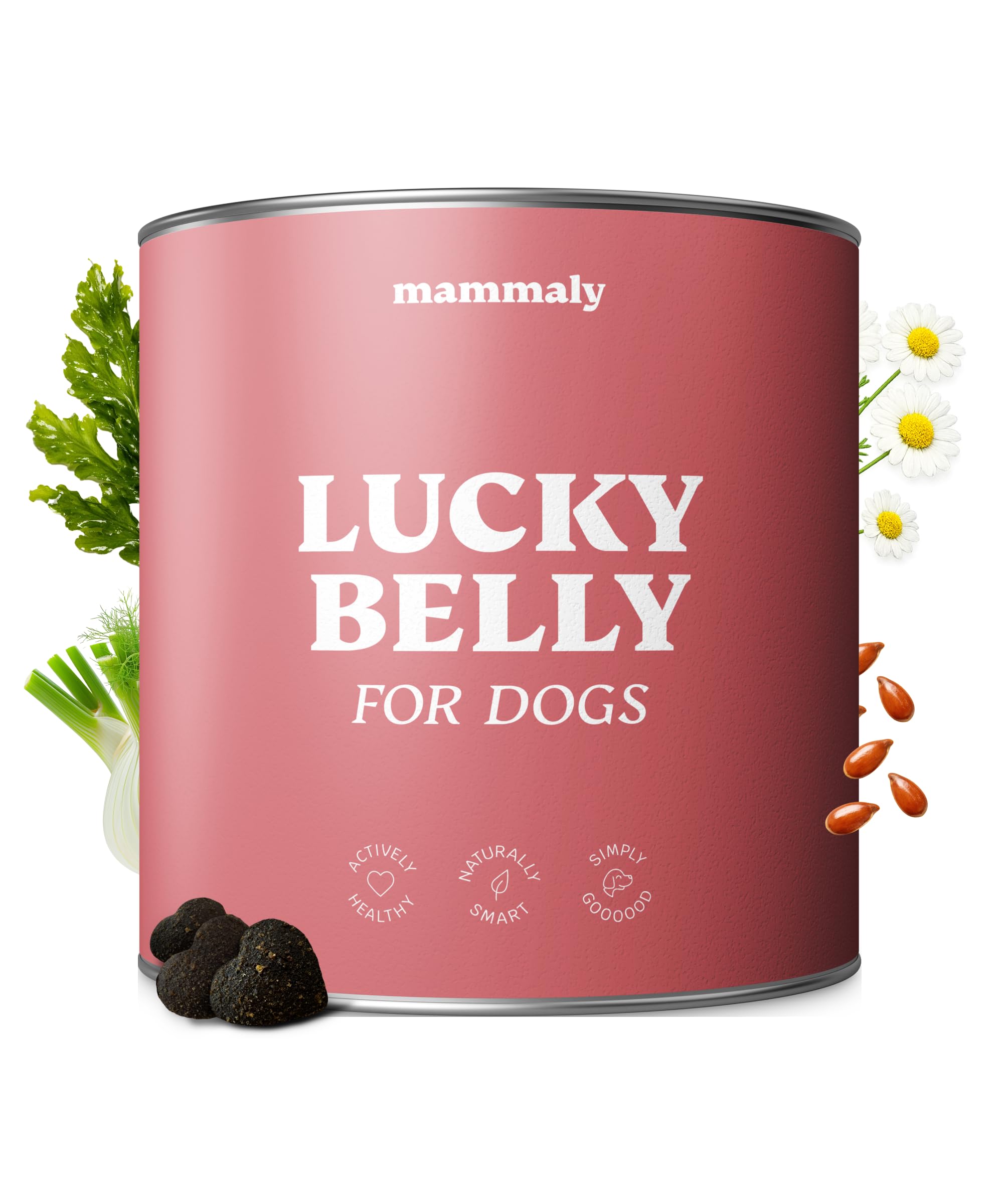 9-in-1 Probiotika für Deinen Hund - Lucky Belly Hypoallergen Allergie Fit ohne Huhn 120 Drops (350g) von mammaly-Bei Magenprobleme & Verdauungsprobleme für Magen-Darm,Verdauungssnacks bei Gras fressen