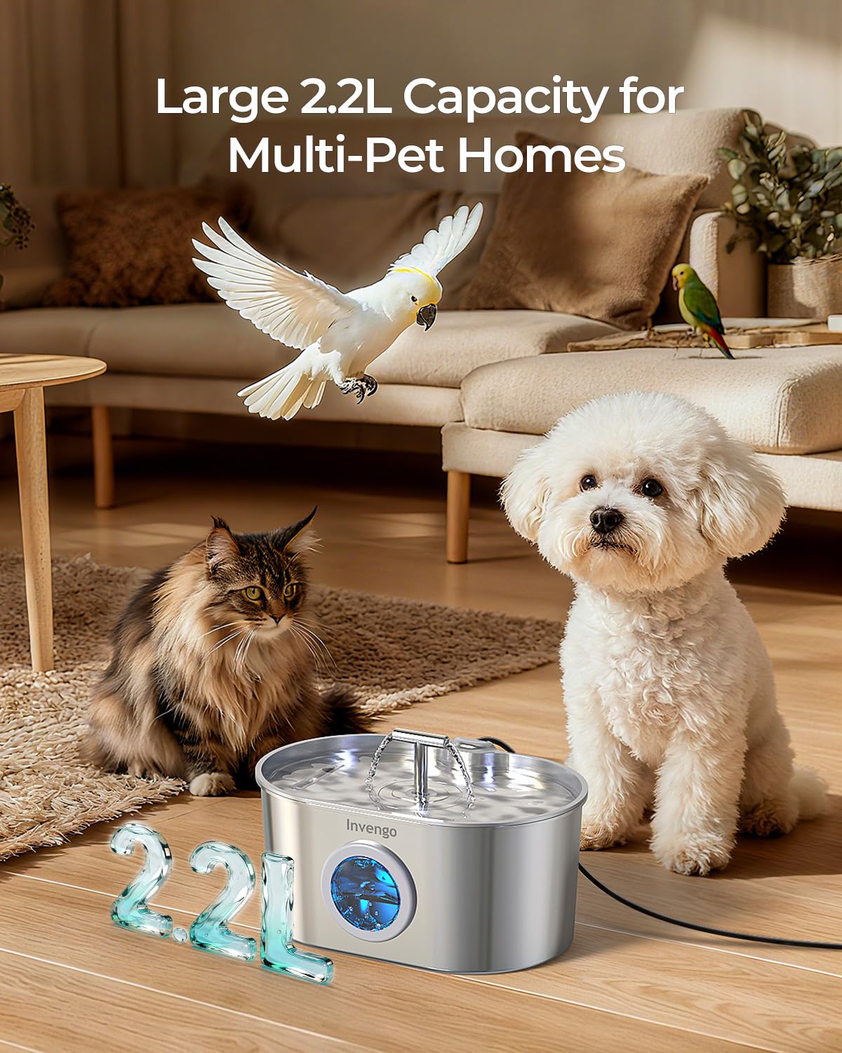 Invengo MeowFlow B30 Trinkbrunnen für Katzen, 2,2L Edelstahl-Haustierbrunnen mit sichtbarem Wasserfenster, einfach zu reinigen und installieren, inkl. 4 Ersatzfilter, spritzwassergeschütztes Design