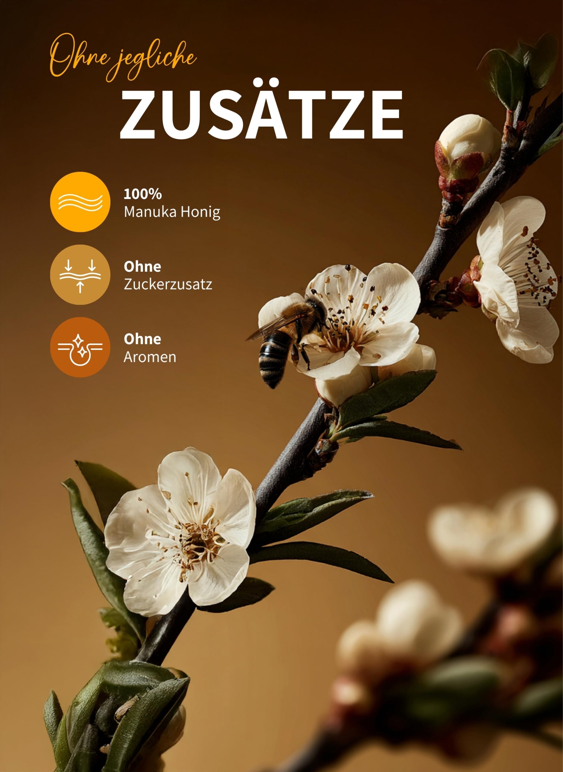 bedrop Manuka Honig mit MGO 500+ XXL Glas - 100% echter Premium Manukahonig aus Neuseeland mit zertifiziertem Methylglyoxal Gehalt (Analyse-Zertifikat) - 140g