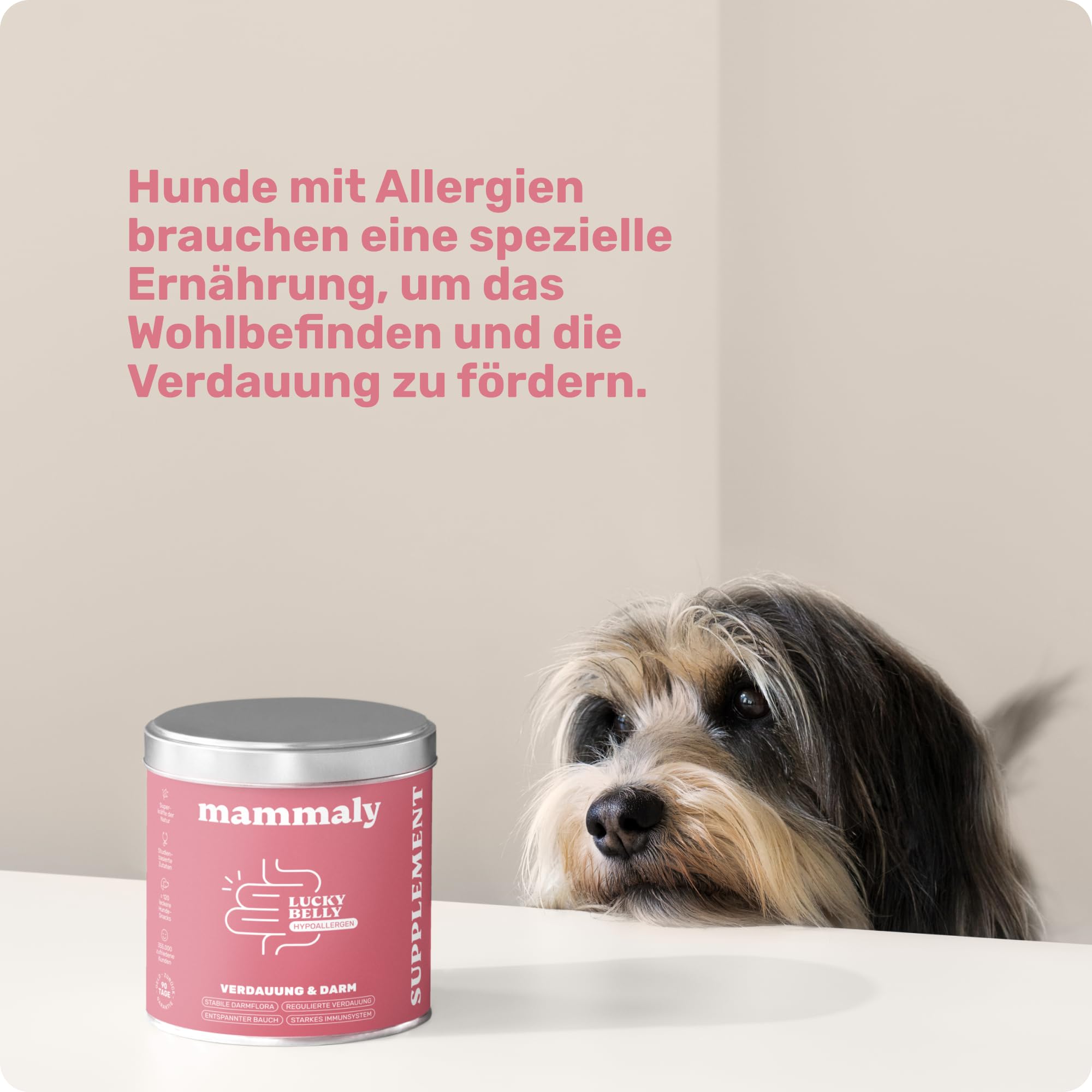 9-in-1 Probiotika für Deinen Hund - Lucky Belly Hypoallergen Allergie Fit ohne Huhn 120 Drops (350g) von mammaly-Bei Magenprobleme & Verdauungsprobleme für Magen-Darm,Verdauungssnacks bei Gras fressen