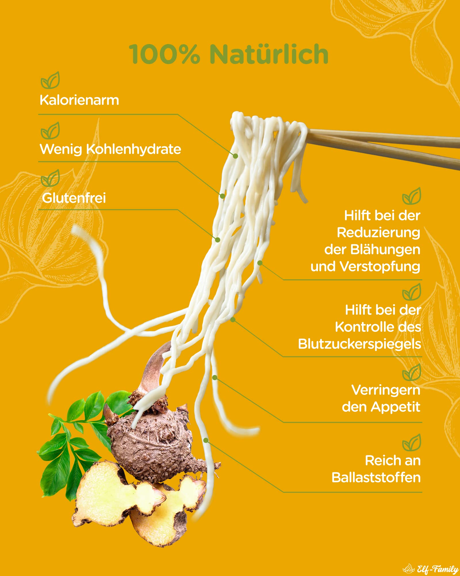 Premium Konjak Nudeln aus Thailand Vegan Glutenfrei-240gx 6er Box(12 pack), Elf-Family Shirataki Nudeln Instant Nudeln Pasta/Keto/Low Carb/Kalorienarme/Zuckerfrei -Spaghetti & Fettuccine