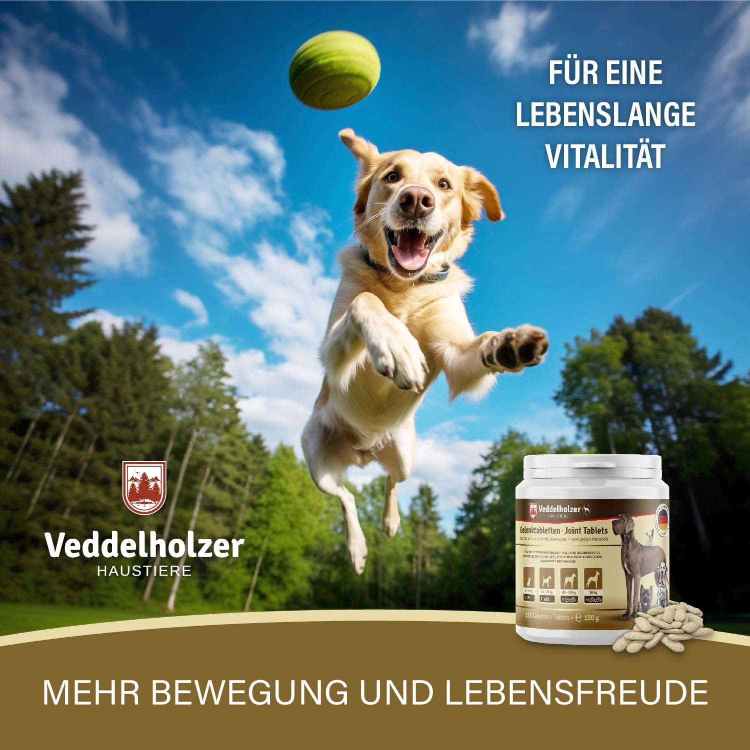 Veddelholzer VERGLEICHSSIEGER 2024 Hunde Gelenktabletten mit Grünlippmuschel Hund MSM & Teufelskralle Glucosamin & Kollagen 125 Kapseln Hunde Leckerlis