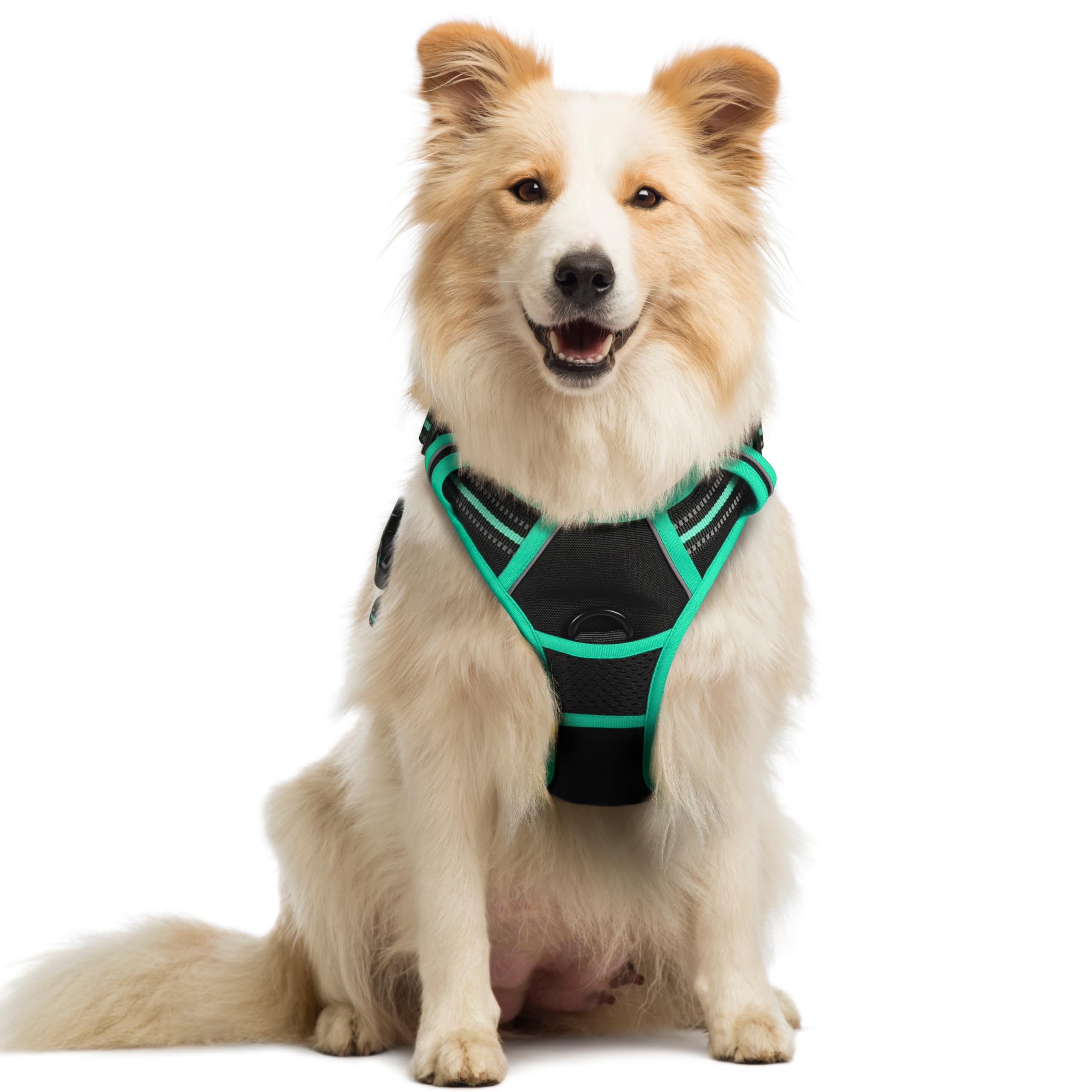 rabbitgoo Hundegeschirr Grosse Hunde, Anti Zug Geschirr mit Kontrolle, No Pull Verstellbar Hundegeschirr Mittelgroße Hunde, Atmungsaktiv Reflexstreifen Brustgeschirr Sichere Führung, Schwarz, L