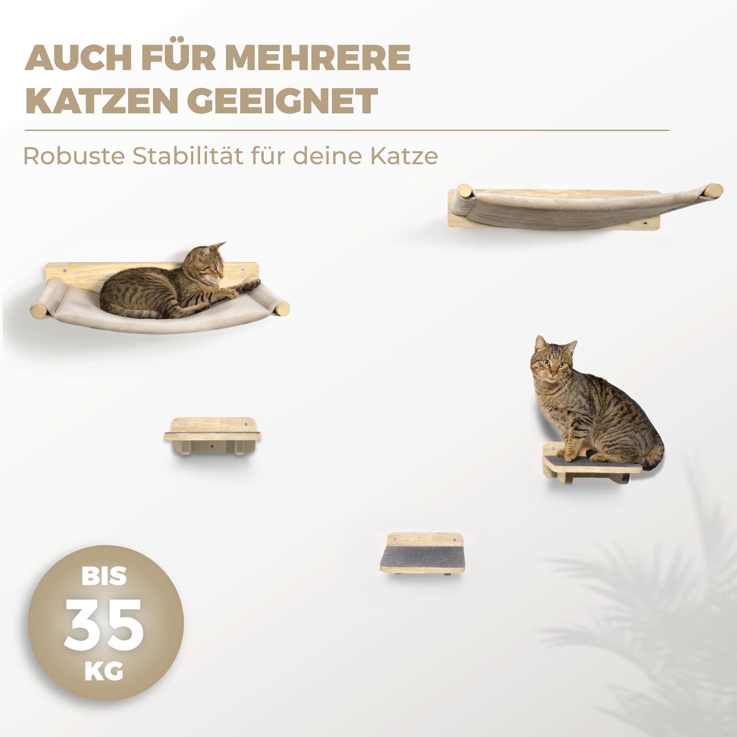 WOOWOOD® 2X Kletterwand Katzen - 3X Katzentreppe Wand- Kratzbaum Wand - Hängematte Katze - Wandkratzbaum - Katzenmöbel - Katzenwand - Katzen Kletterwand Set - Naturhell