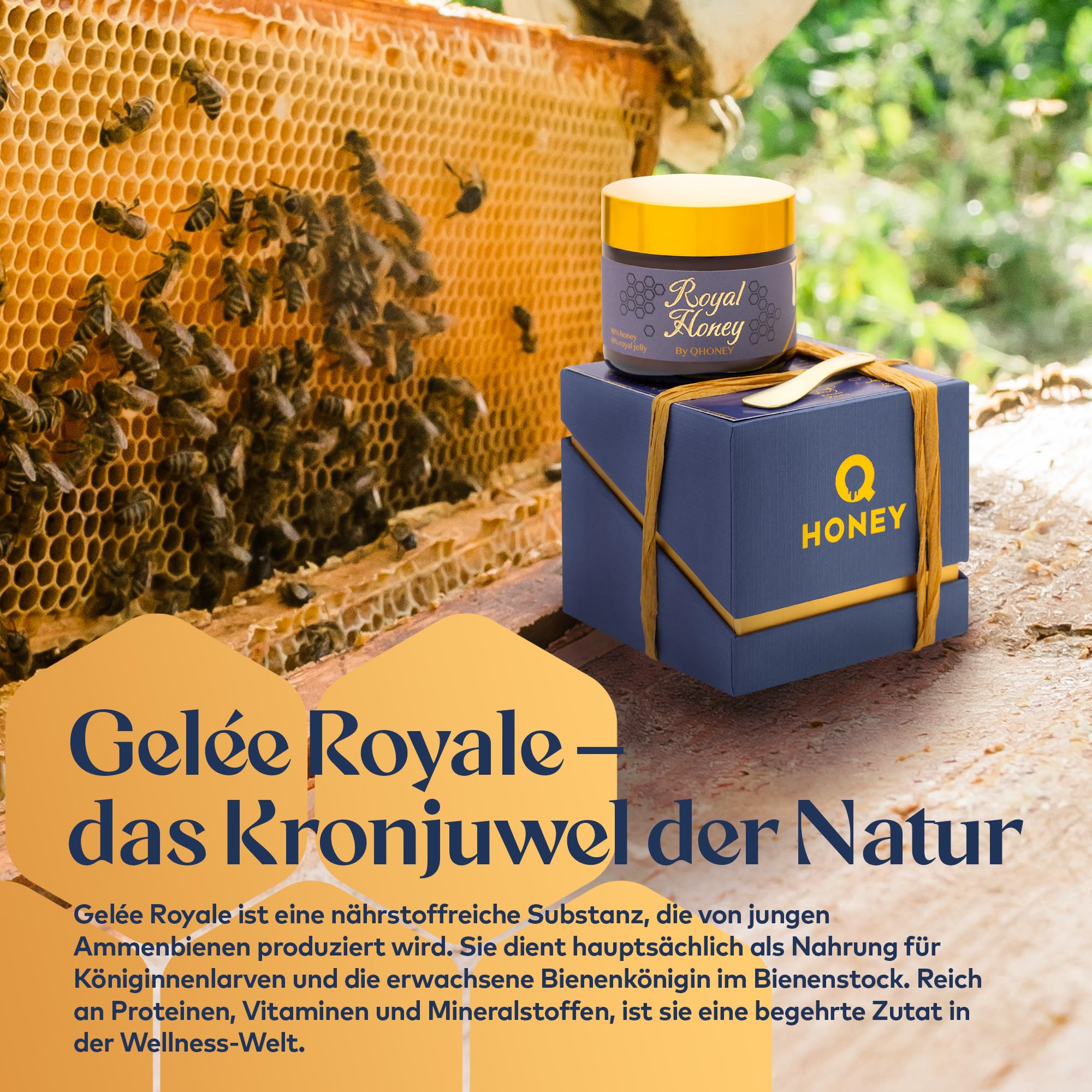 Q Honey – Wildblütenhonig vom Imker, NMR-geprüft, geprüfte Qualität & international anerkannt 2025, 1 kg