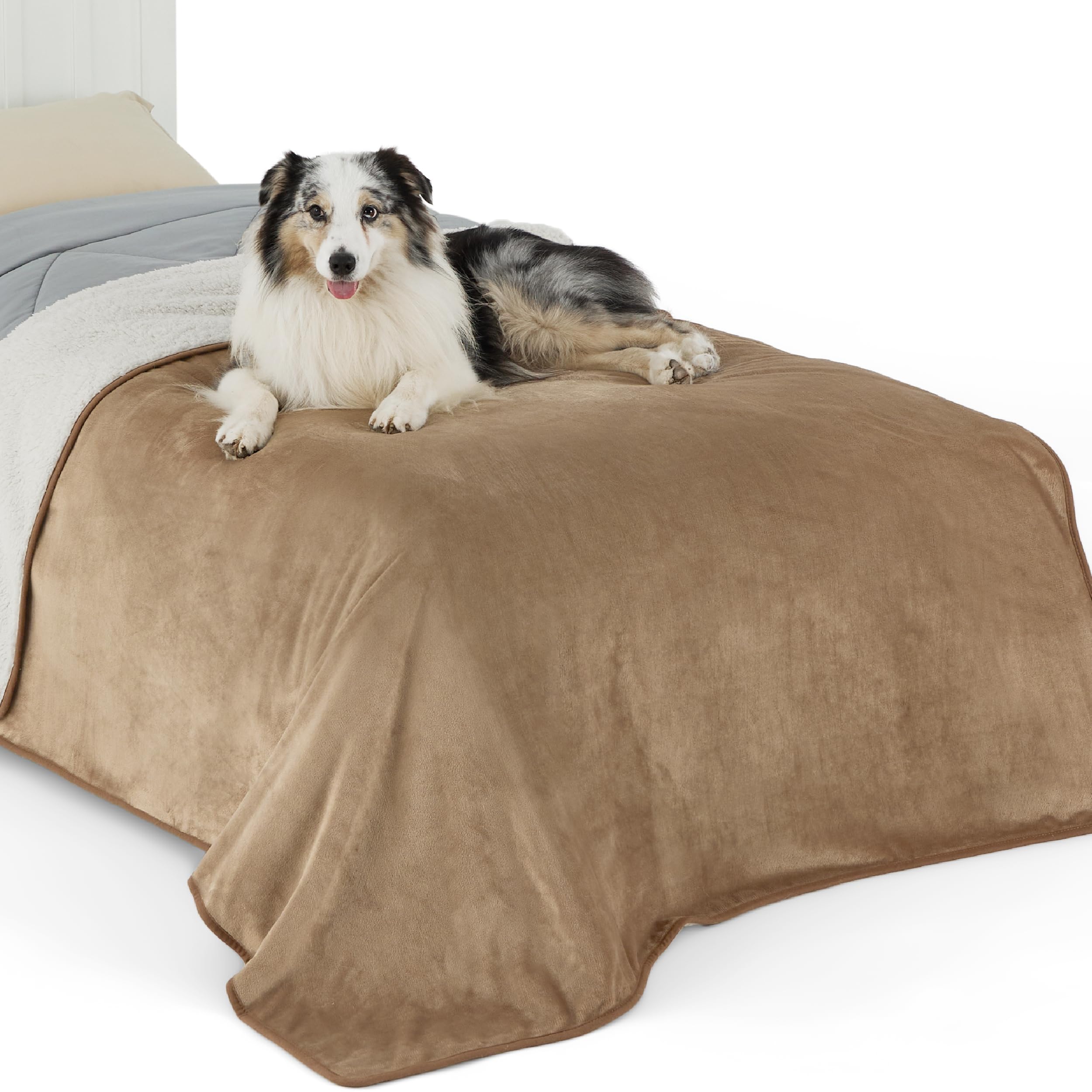 LE SURE wasserdichte Hundedecke mittelgroße Hunde - 100x80cm Hundedecke waschbar, Hundedecke Sofaschutz aus Sherpa Fleece, Katzendecke flauschig und weich, Grau