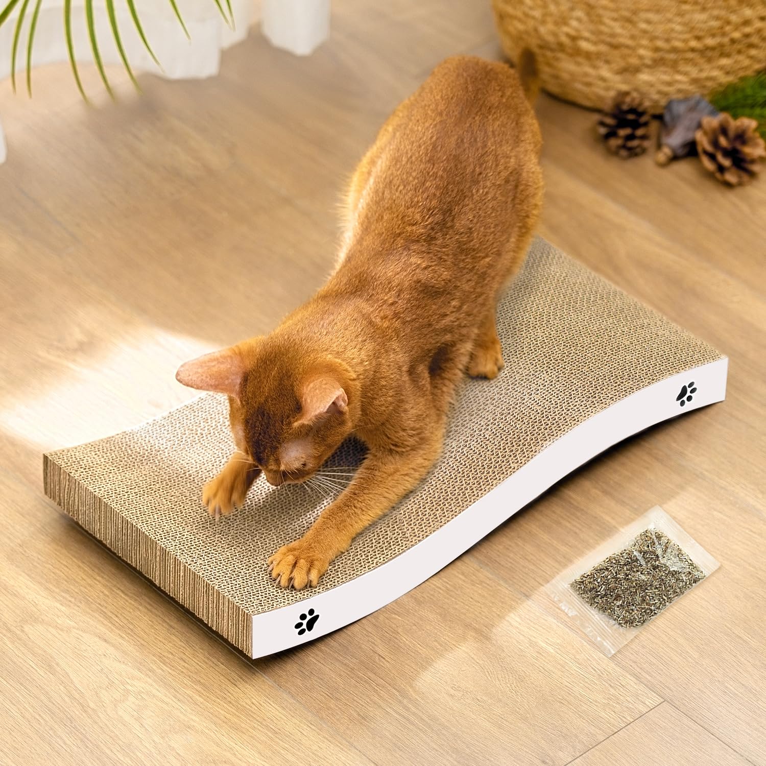 Katzen Kratzbrett aus Pappe – Kratzbretter Katze mit Wellenform, langlebige Kratzmatte als Möbelschutz für Sofa & Ecke, umkehrbare Kratzpappe für Wohnungskatzen (1er-Pack)
