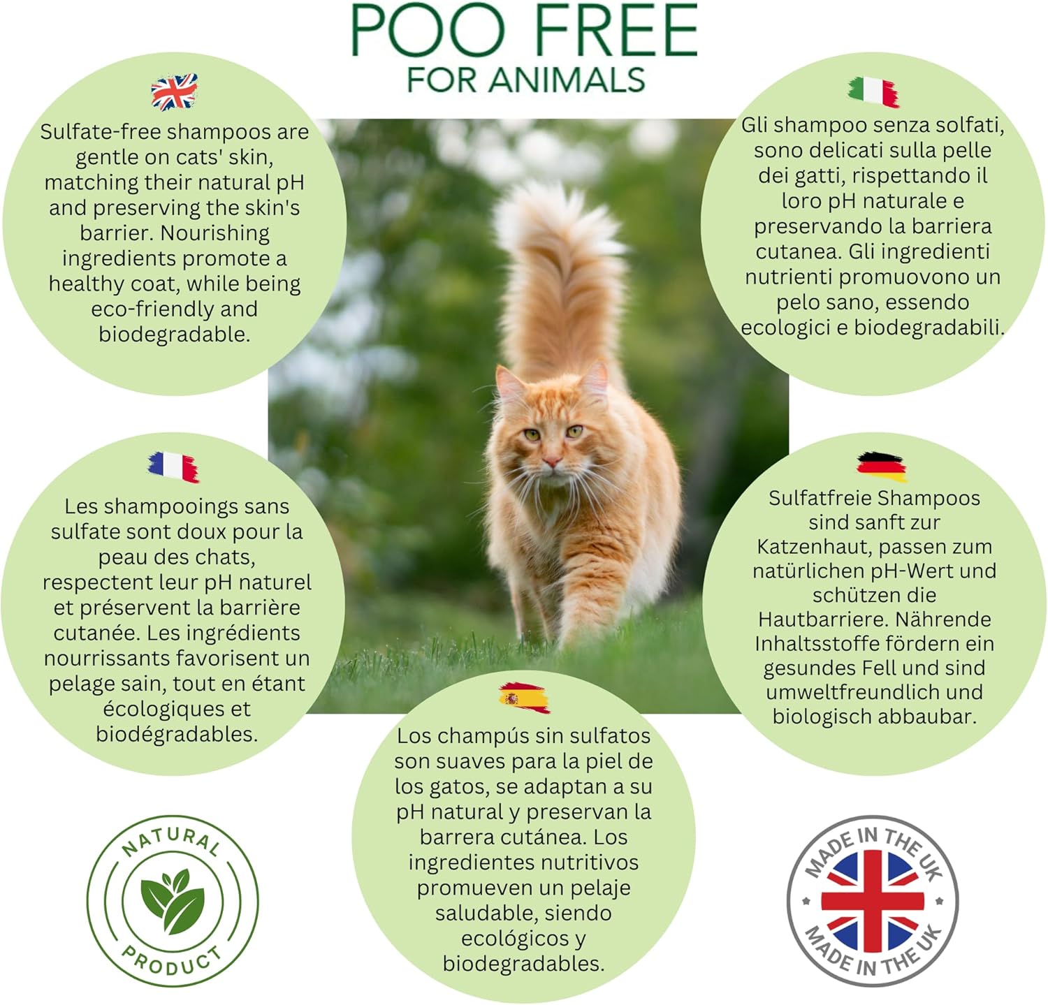 Katzenshampoo (Unscented) – Ultra-sanfte pH-hautneutrale Pflege – 99% Natürlicher Ursprung – Hypoallergen & Rein – 250ml