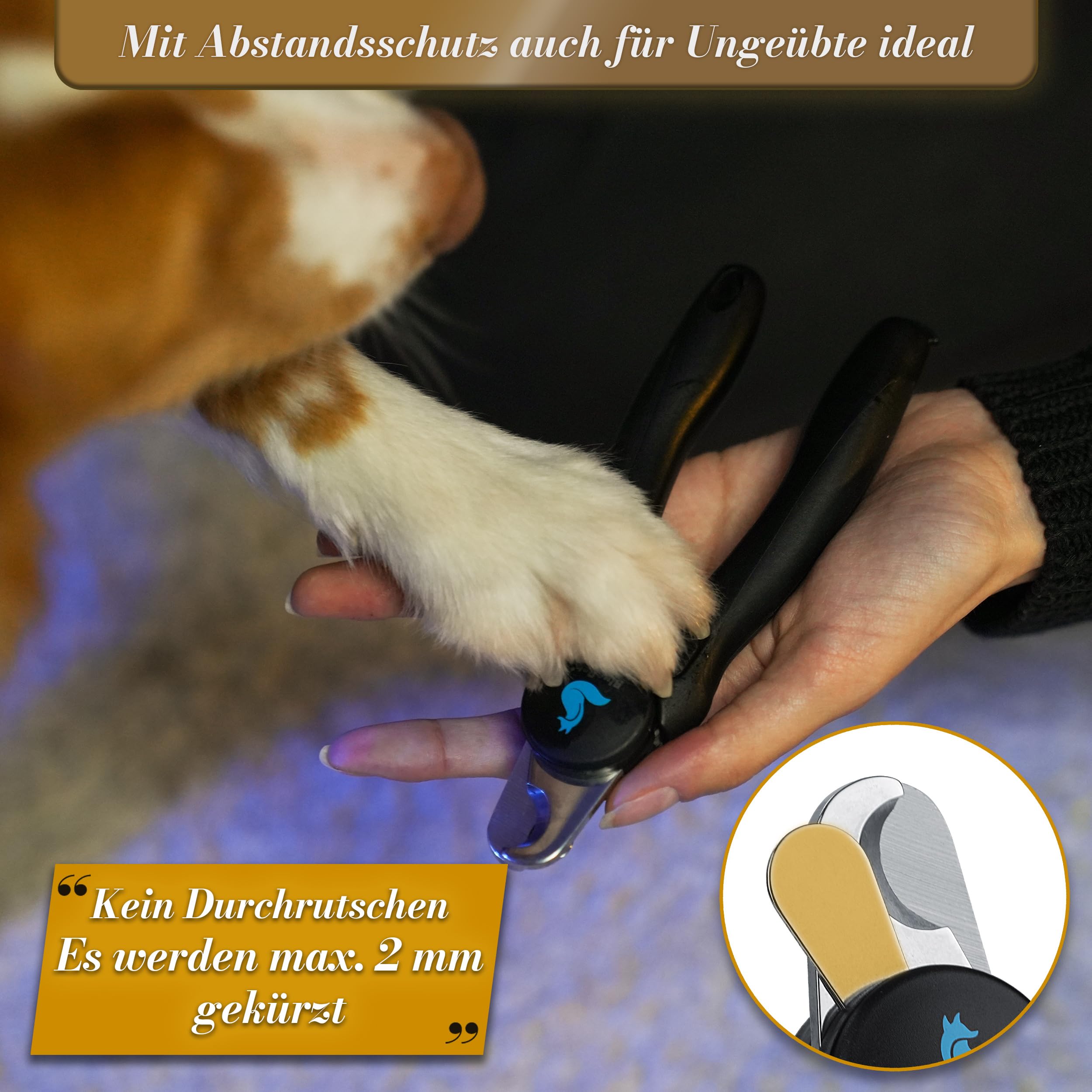 BluePet Krallenschere mit Schutz für Hunde & Katzen I Einsteigerfreundlich I Krallenzange für kleine & große Krallen + Krallenfeile im Griff - Alternative zu Nagelschere & Krallenschleifer