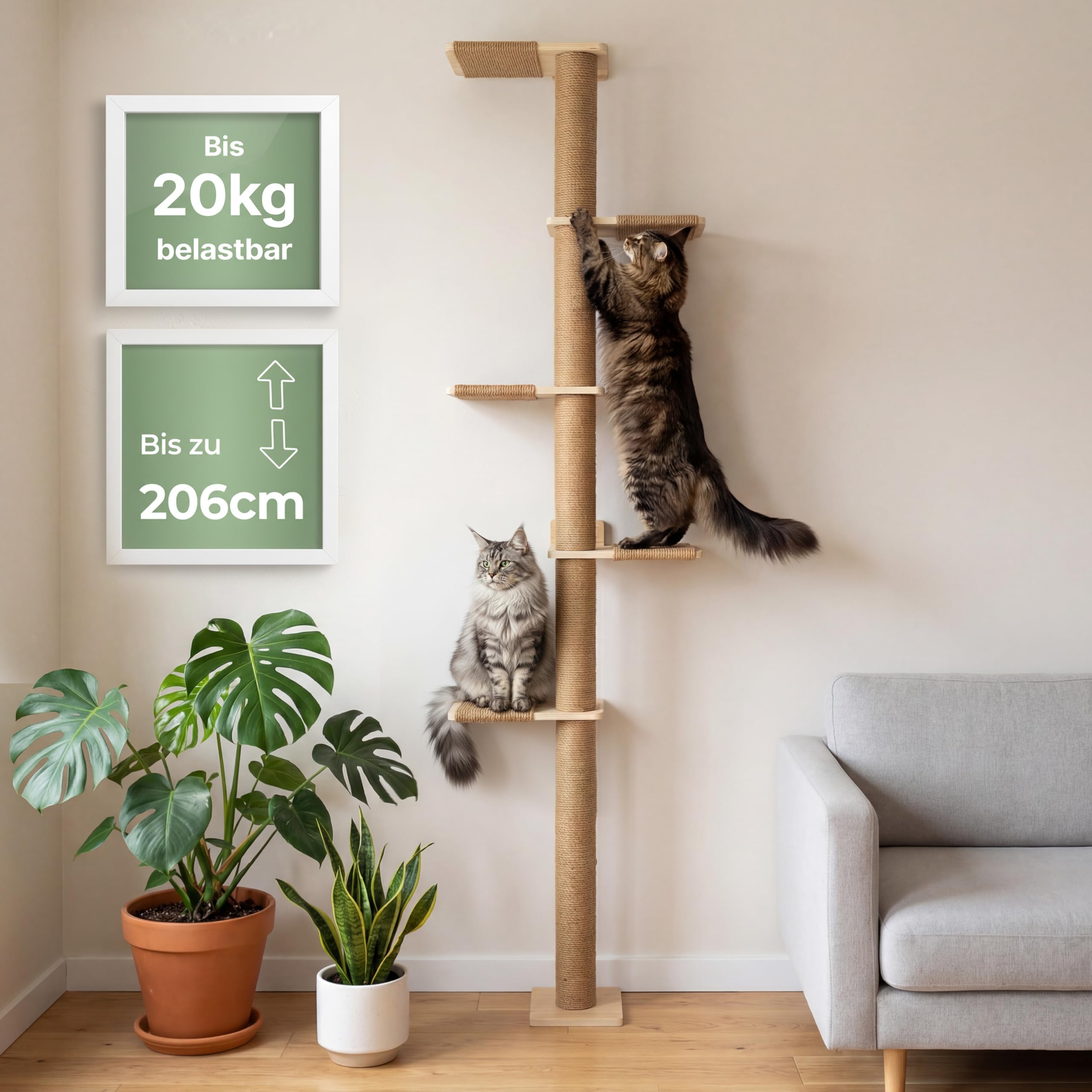 WOOWOOD® 2X Kletterwand Katzen - 3X Katzentreppe Wand [Beste Stabilität] - Kratzbaum Wand, Hängematte Katze, Wandkratzbaum, Katzenmöbel, Katzenwand, Katzen Kletterwand Set (5 teilig)