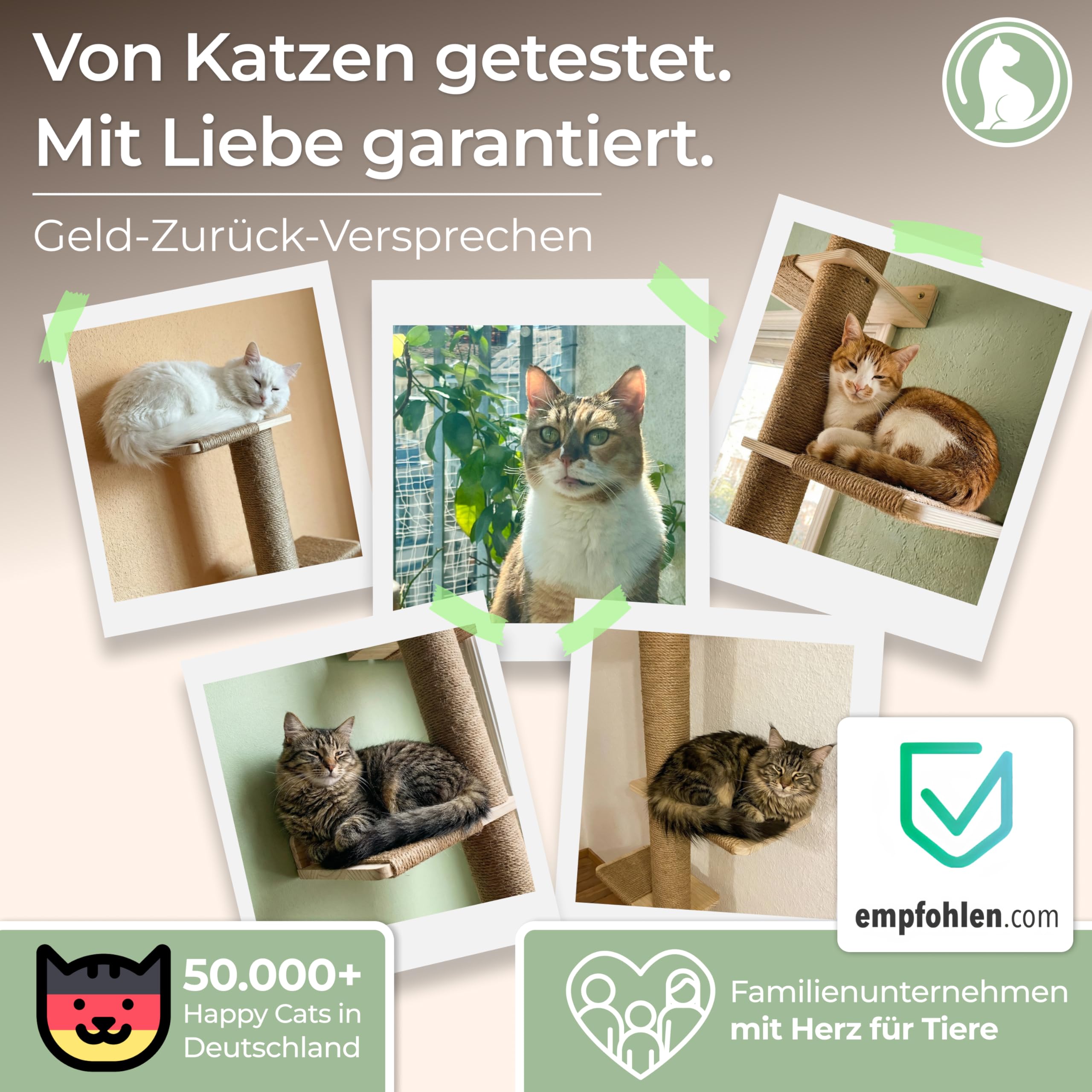 WOOWOOD® 2X Kletterwand Katzen - 3X Katzentreppe Wand [Beste Stabilität] - Kratzbaum Wand, Hängematte Katze, Wandkratzbaum, Katzenmöbel, Katzenwand, Katzen Kletterwand Set (5 teilig)