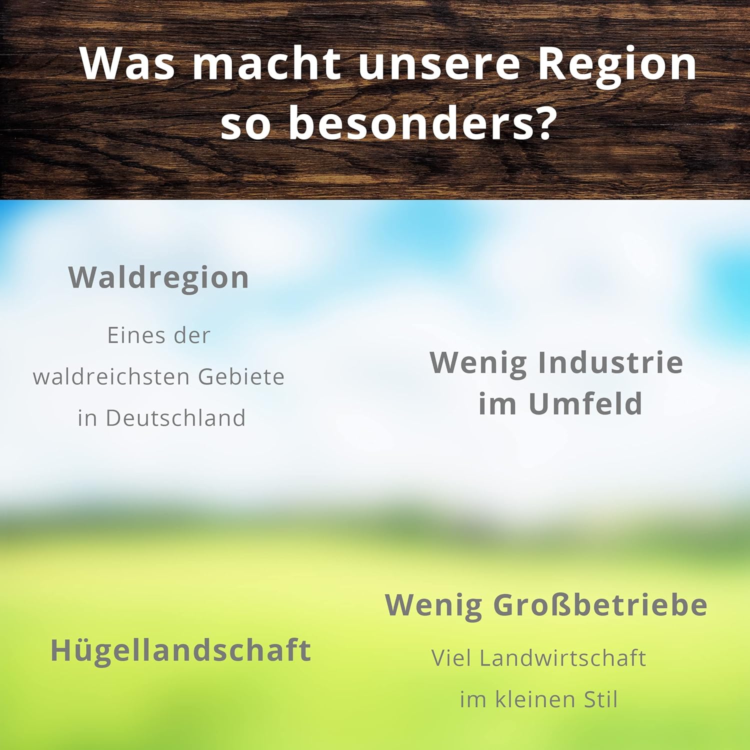 Landmetzgerei Schiessl Bayerisches Probier-Packerl 1 kg | Hausmacher Wurst, Leberkäse, Schinken, Salami | Glutenfrei & laktosefrei | Spitzenqualität aus eigener Schlachtung als Geschenkset