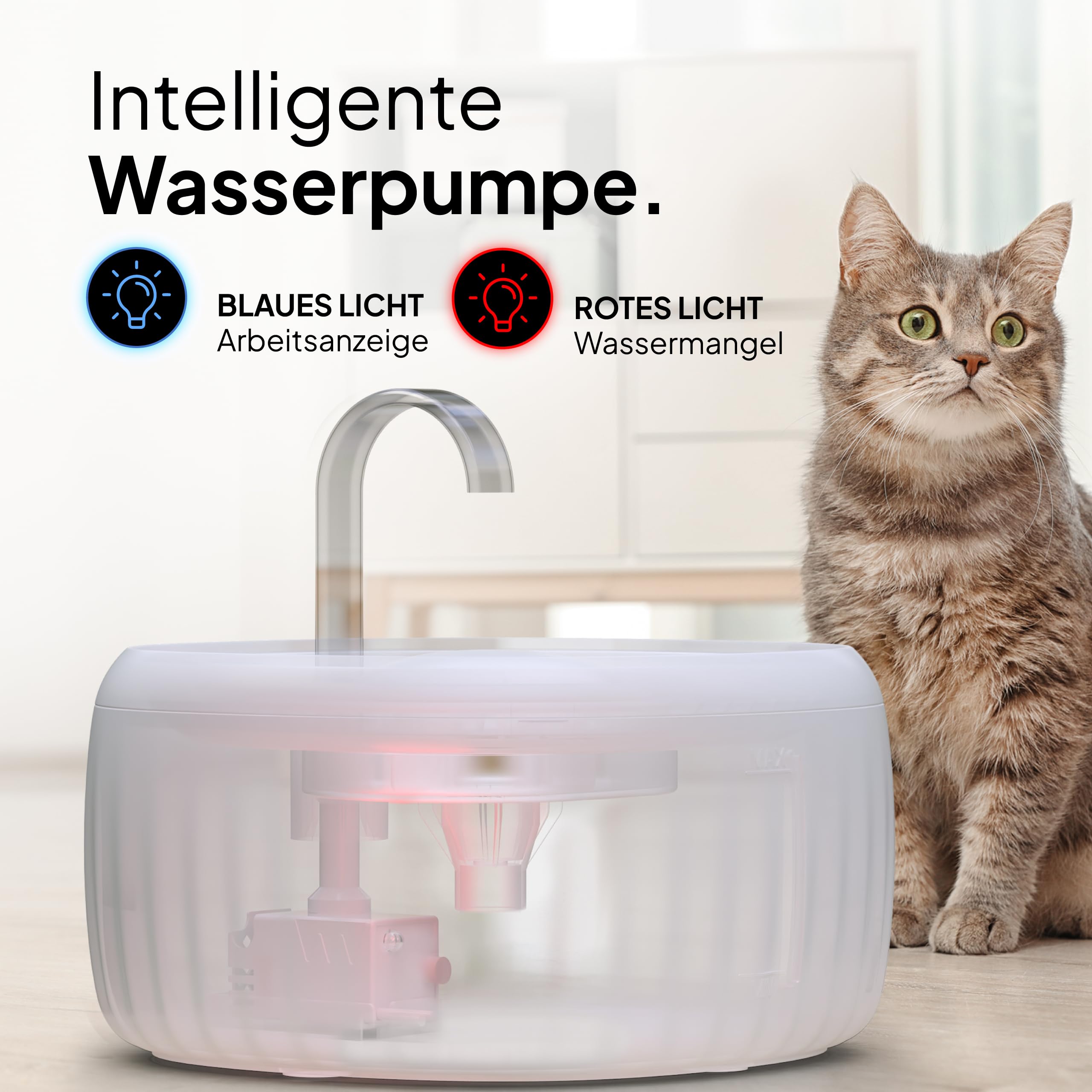 PrettyPaw Katzenbrunnen - Super leiser, BPA-freier 3L Trinkbrunnen für Katze mit LED und Aktivkohlefilter - Leicht zu reinigender Katzen Trinkbrunnen - Aqua Flow (Schwarz)