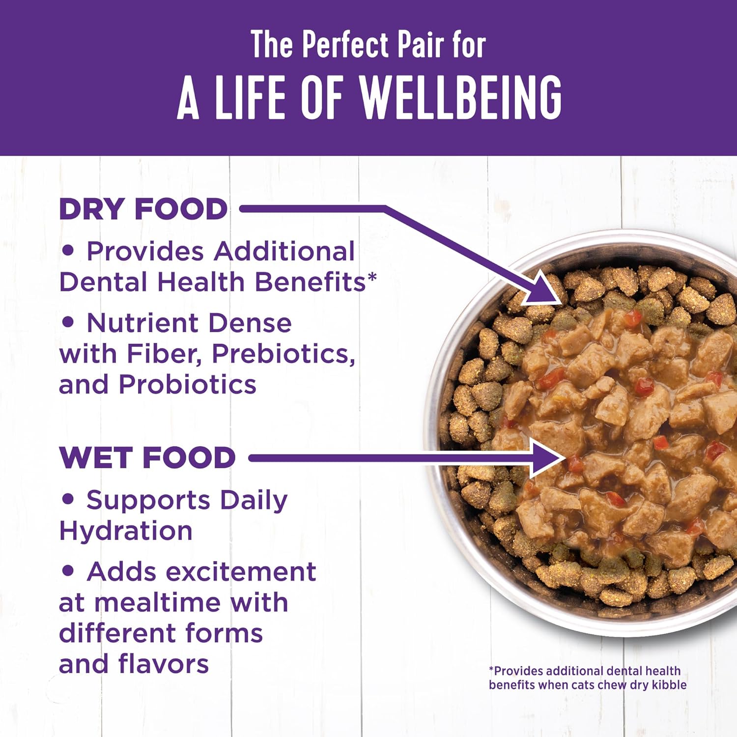 Wellness Complete Health Pate Adult Wet Cat Food, Natural, Protein-Rich, Grain-Free, 3 Ounce, 24 Pack, (Chicken & Turkey Variety Pack)