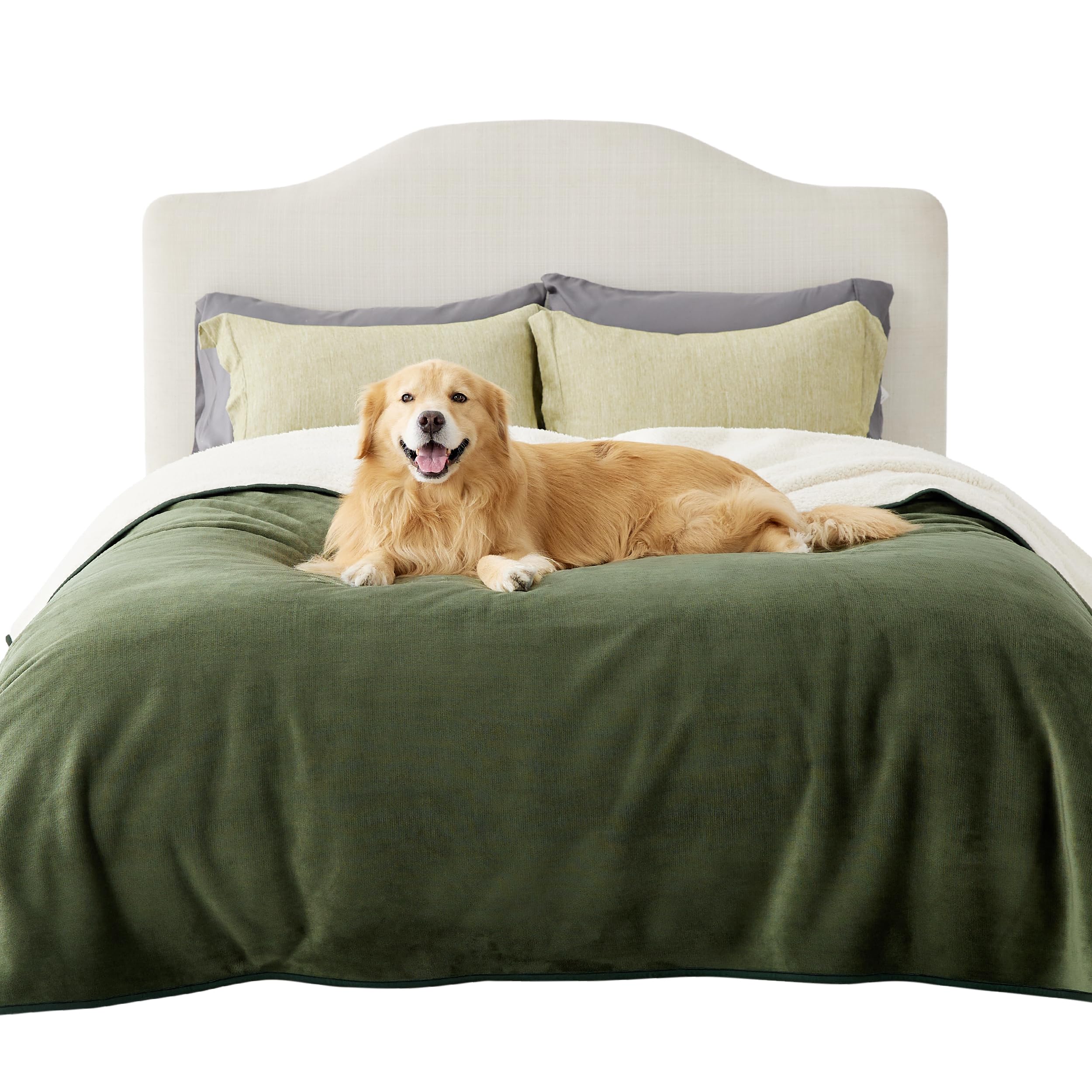 LE SURE wasserdichte Hundedecke mittelgroße Hunde - 100x80cm Hundedecke waschbar, Hundedecke Sofaschutz aus Sherpa Fleece, Katzendecke flauschig und weich, Grau