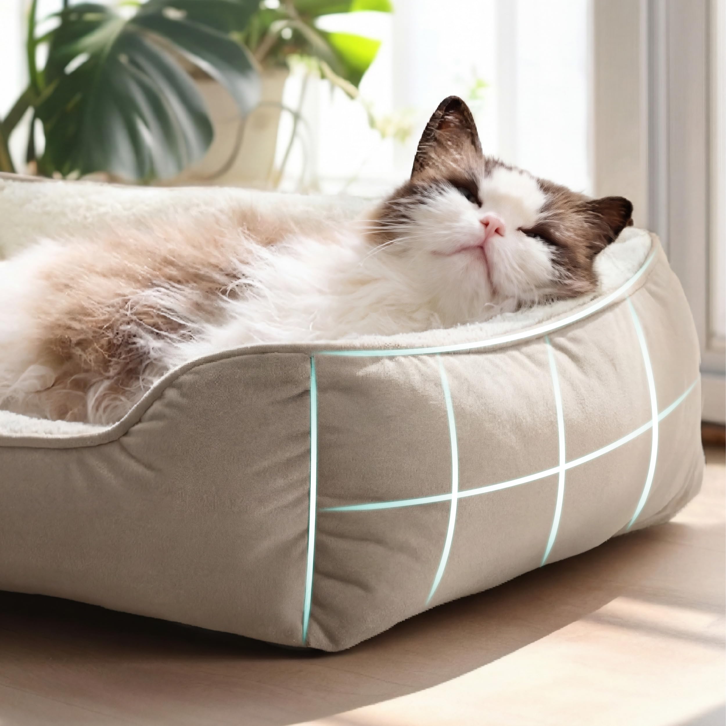 BEDSURE Katzenbett waschbar Katzen Bettchen - 51x41cm Katzenkorb Indoor mit Rutschfester Basis, quadratisches Hundebett für kleine Hunde mit weichem Rand, grau