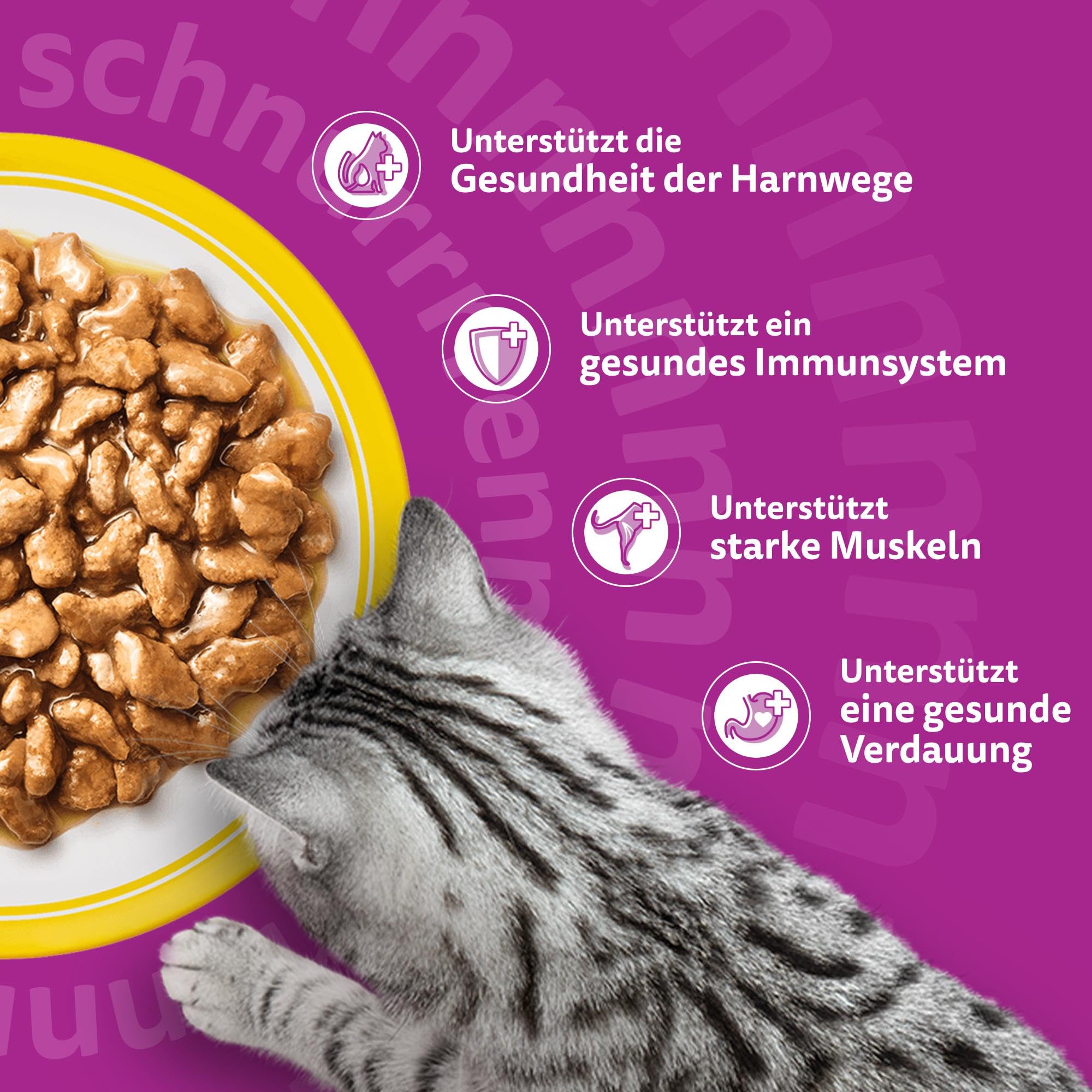 Whiskas Senior 7+ Katzennassfutter Gemischte Auswahl in Sauce, 48 Portionsbeutel, 12x85g (4er Pack) – Hochwertiges Katzenfutter nass, für Katzen ab 7 Jahren und älter